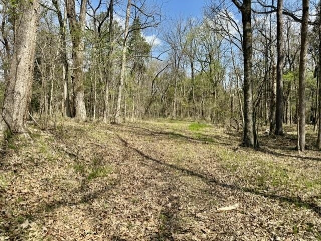Photo 16 - Vacant Land for sale – 000  Milligan Camp   Strawberry, AR