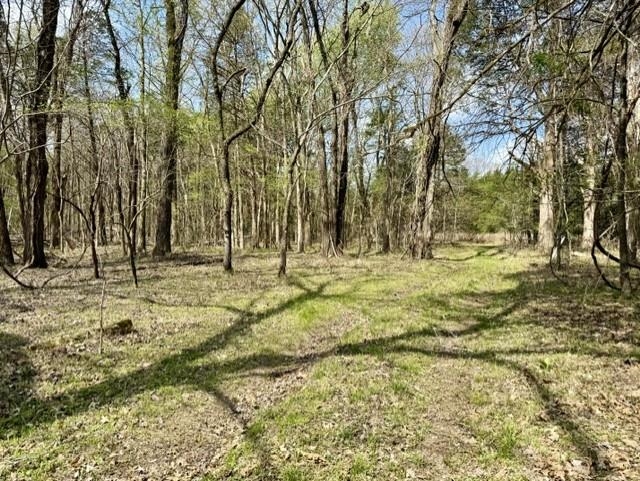 Photo 17 - Vacant Land for sale – 000  Milligan Camp   Strawberry, AR