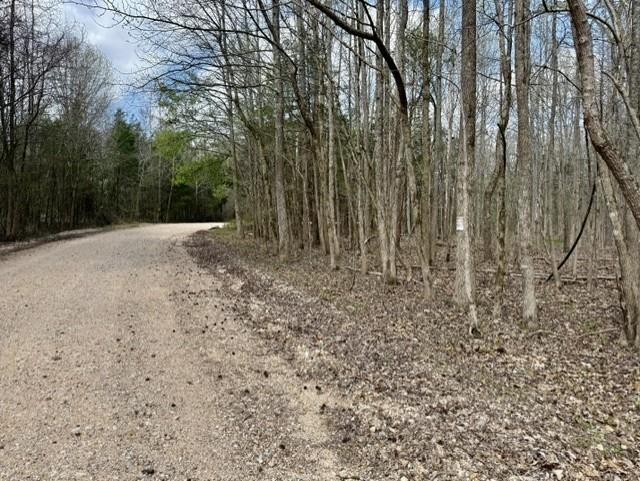 Photo 3 - Vacant Land for sale – 000  Milligan Camp   Strawberry, AR