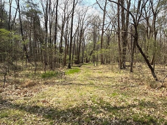 Photo 4 - Vacant Land for sale – 000  Milligan Camp   Strawberry, AR