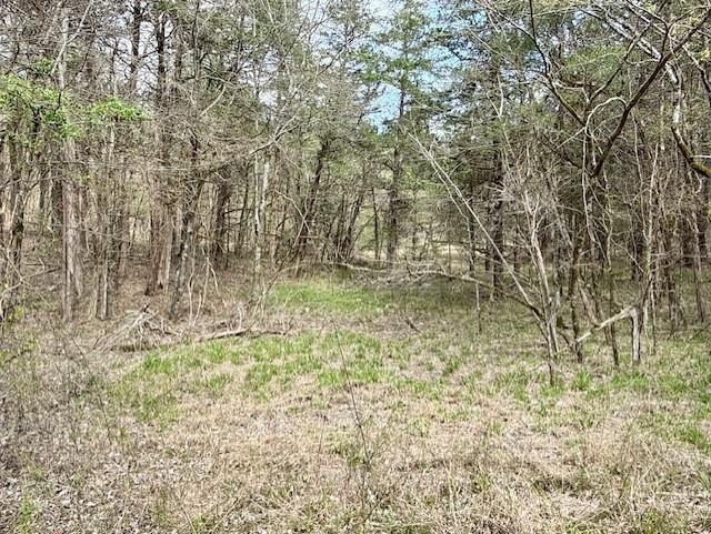 Photo 5 - Vacant Land for sale – 000  Milligan Camp   Strawberry, AR