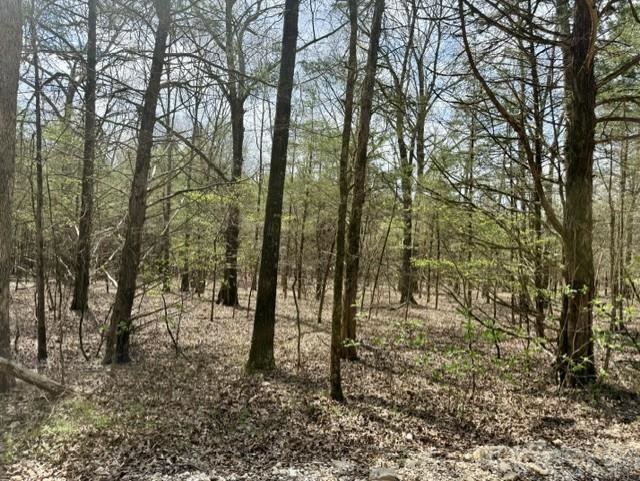 Photo 6 - Vacant Land for sale – 000  Milligan Camp   Strawberry, AR