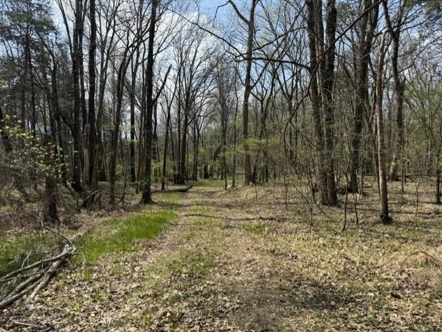 Photo 7 - Vacant Land for sale – 000  Milligan Camp   Strawberry, AR