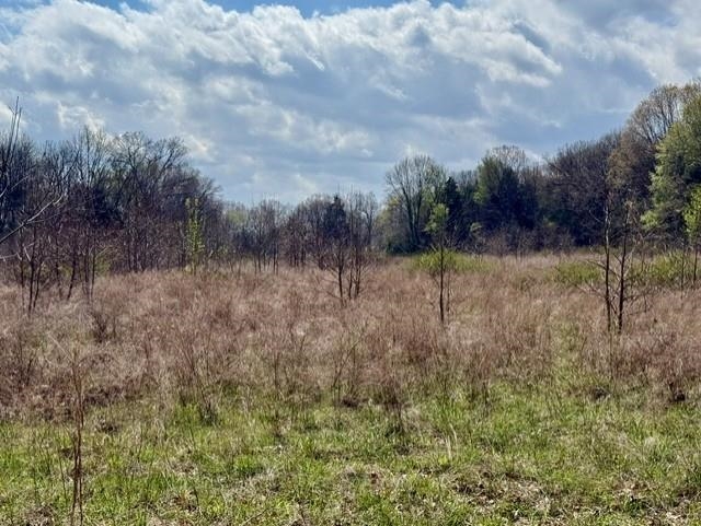 Photo 8 - Vacant Land for sale – 000  Milligan Camp   Strawberry, AR