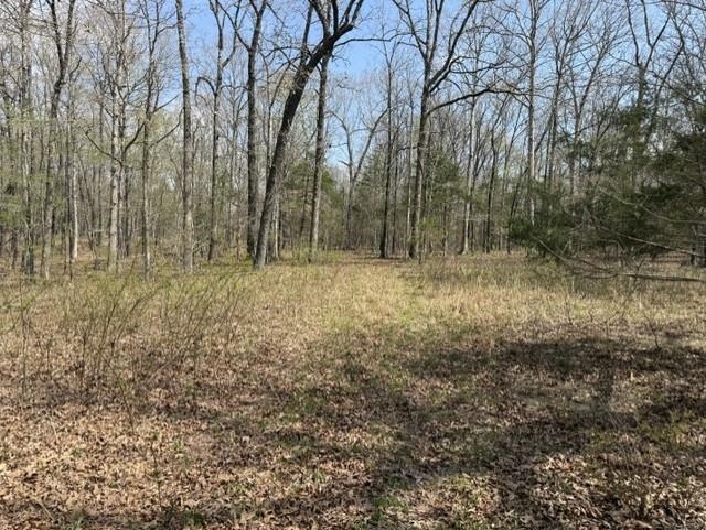 Photo 9 - Vacant Land for sale – 000  Milligan Camp   Strawberry, AR