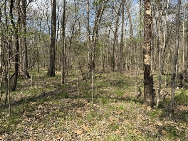Photo 10 - Vacant Land for sale – 000  Milligan Camp   Strawberry, AR