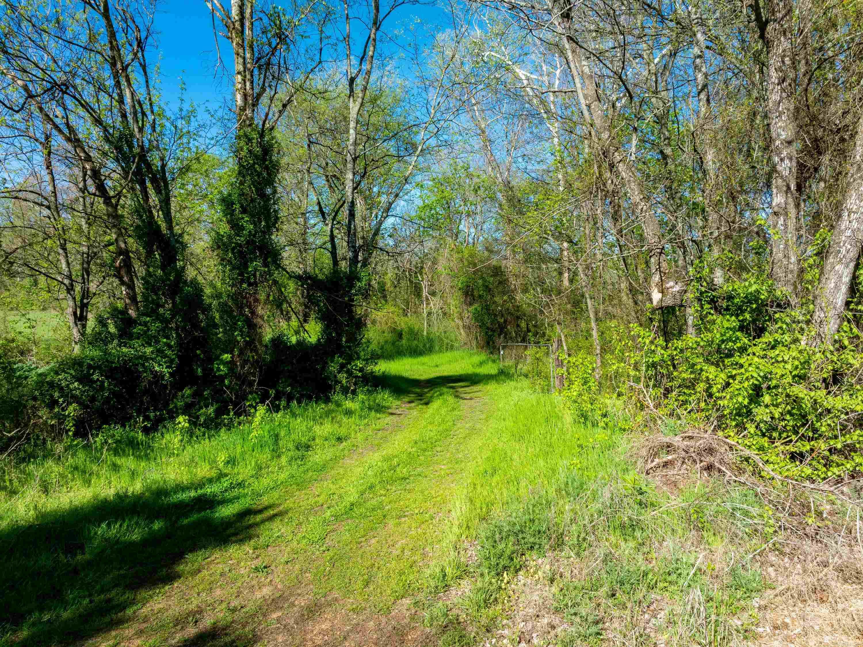 Photo 11 - Vacant Land for sale – 0  Highway 63   Hardy, AR