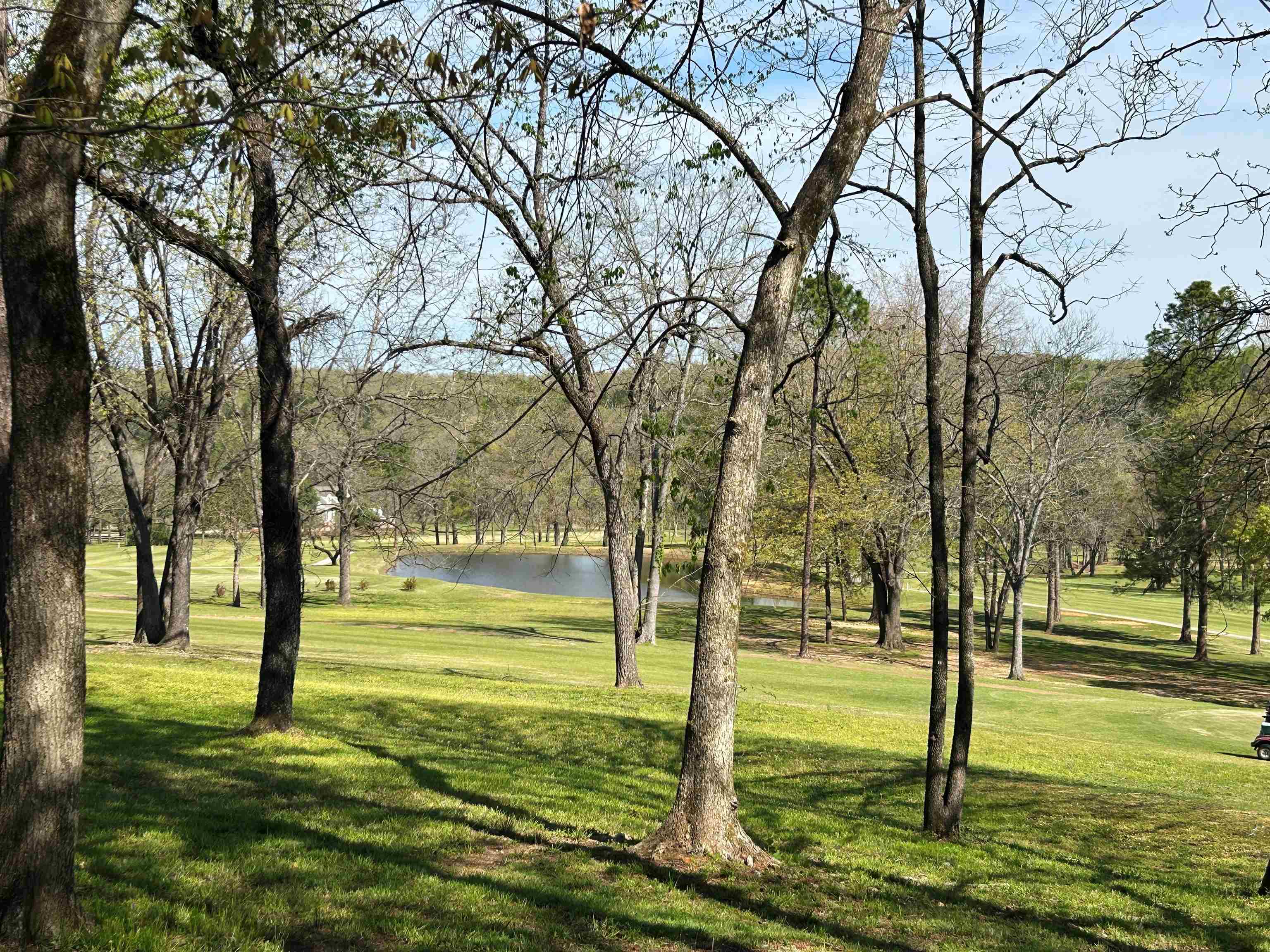 Photo 40 - Residential for sale – 9  Kere   Cherokee Village, AR