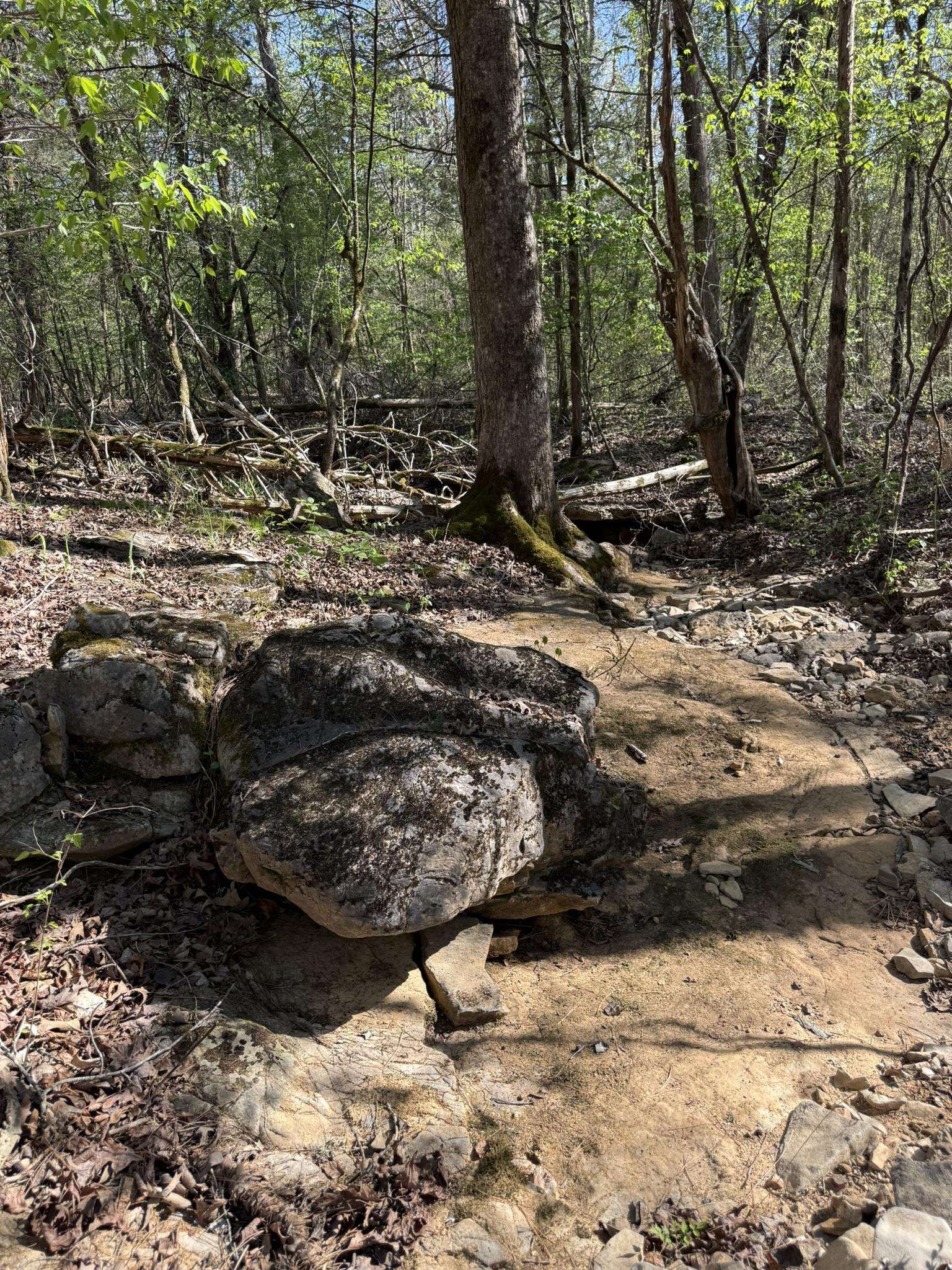 Photo 2 - Vacant Land for sale – 47A  County Road 113   Melbourne, AR