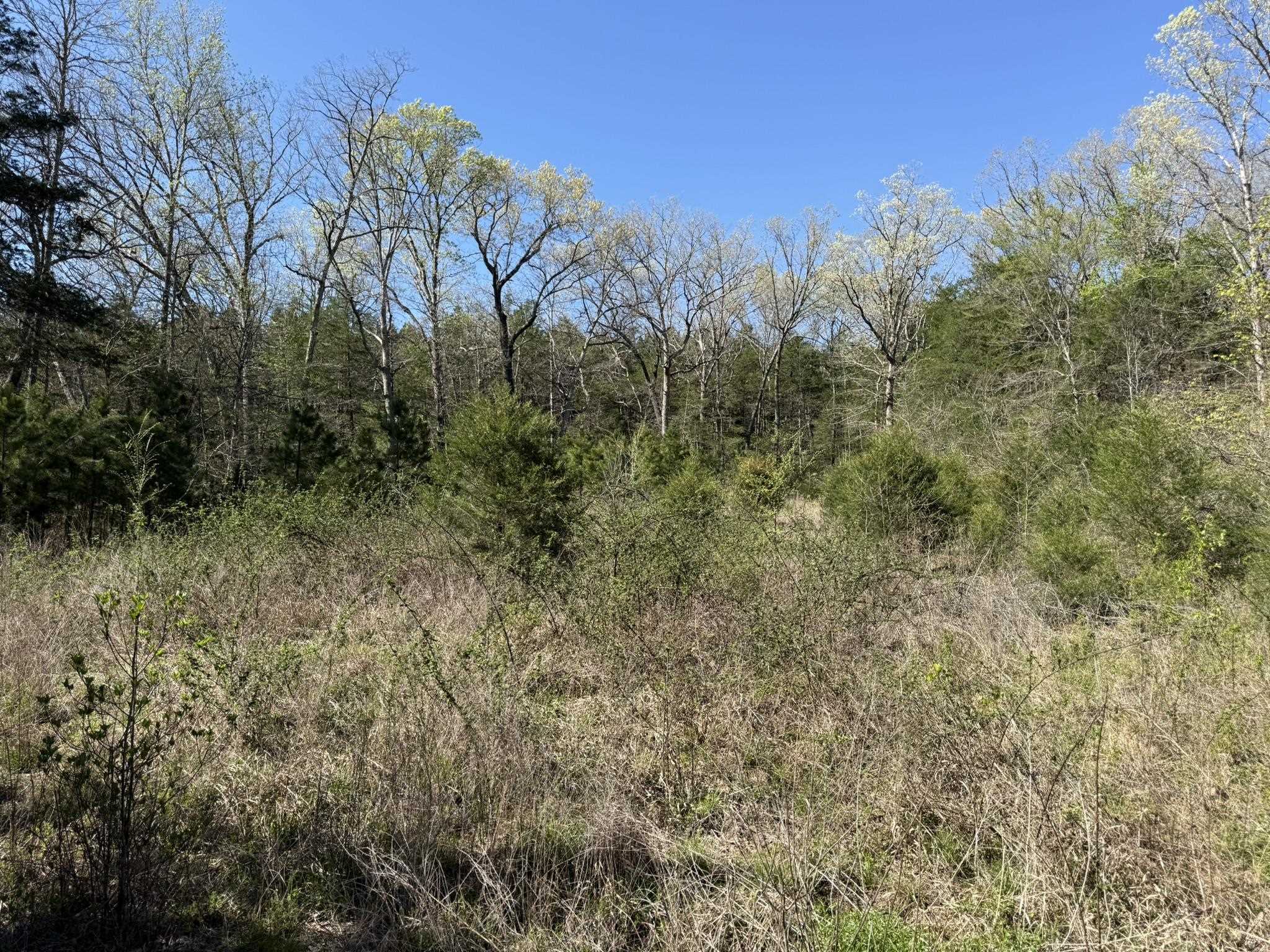 Photo 12 - Vacant Land for sale – 47A  County Road 113   Melbourne, AR