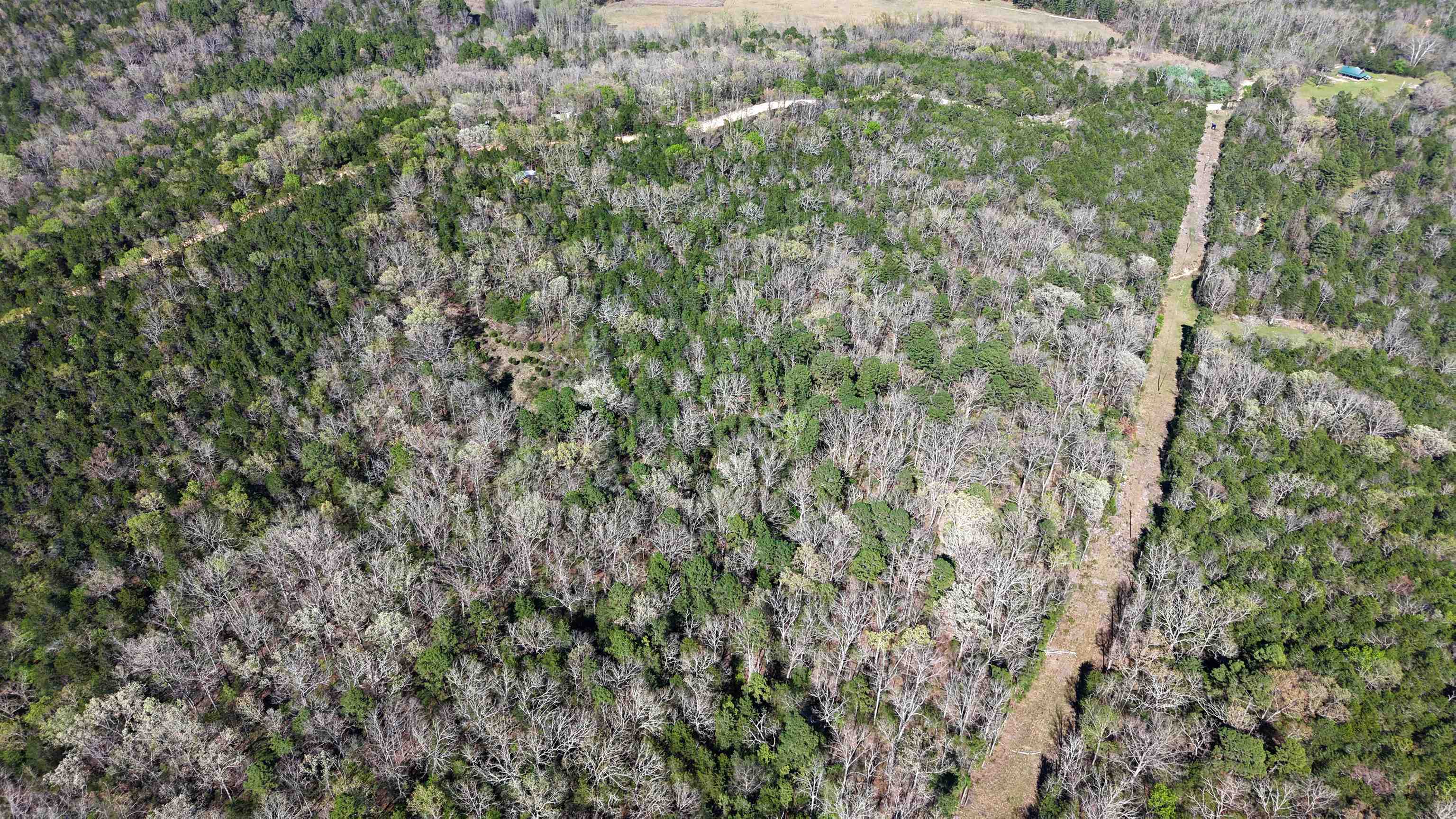 Photo 13 - Vacant Land for sale – 47A  County Road 113   Melbourne, AR