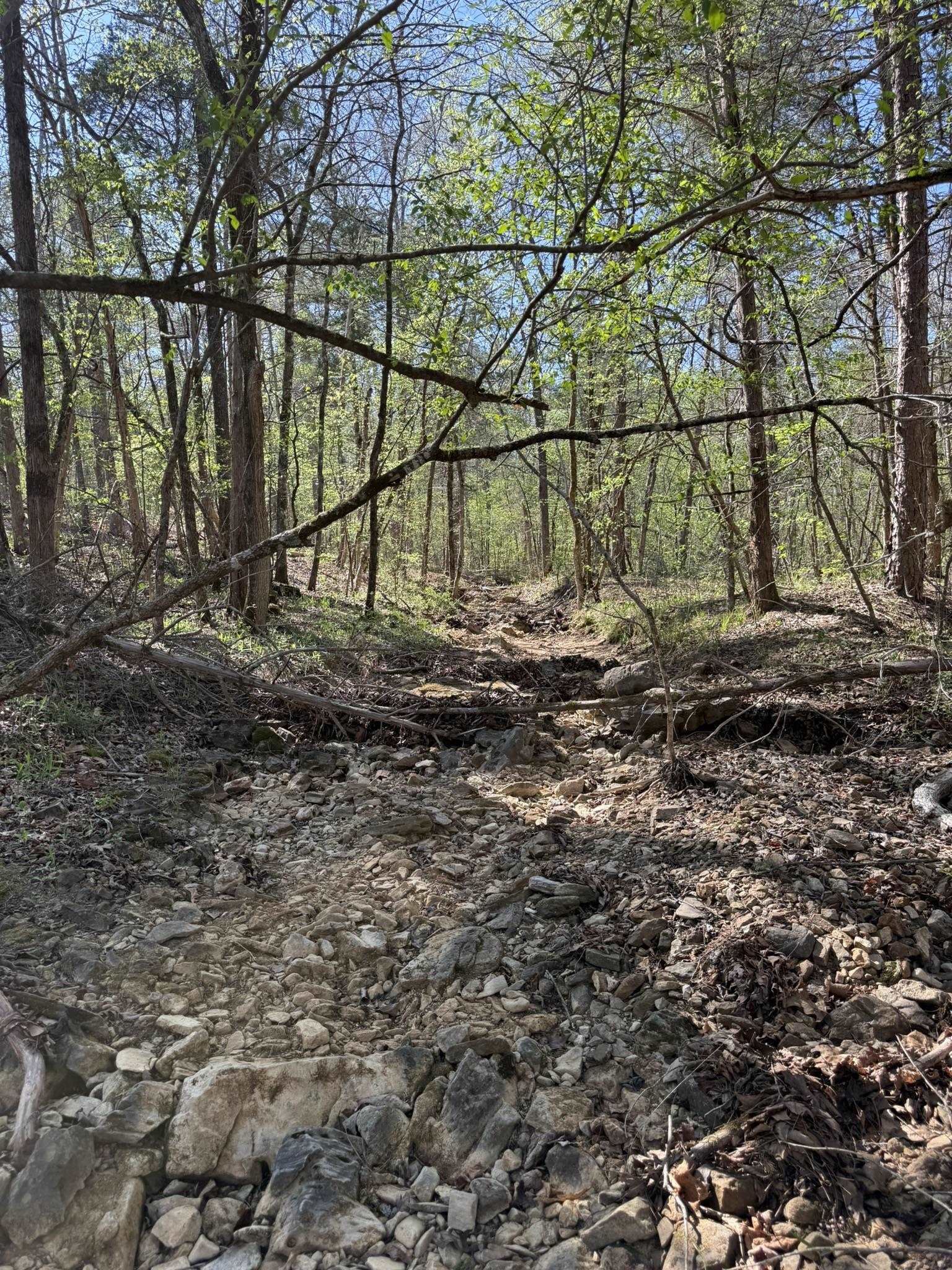 Photo 4 - Vacant Land for sale – 47A  County Road 113   Melbourne, AR