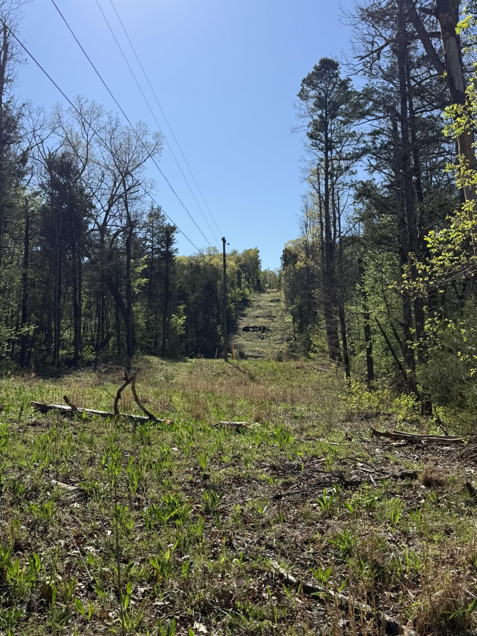 Photo 8 - Vacant Land for sale – 47A  County Road 113   Melbourne, AR
