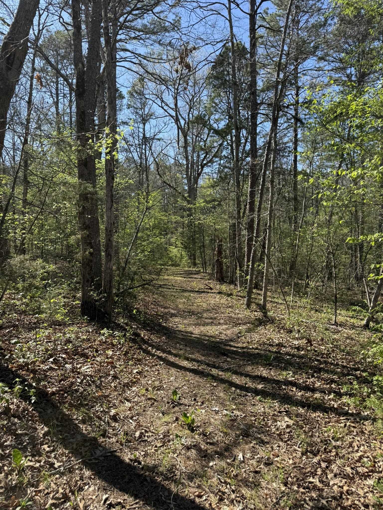 Photo 10 - Vacant Land for sale – 47A  County Road 113   Melbourne, AR