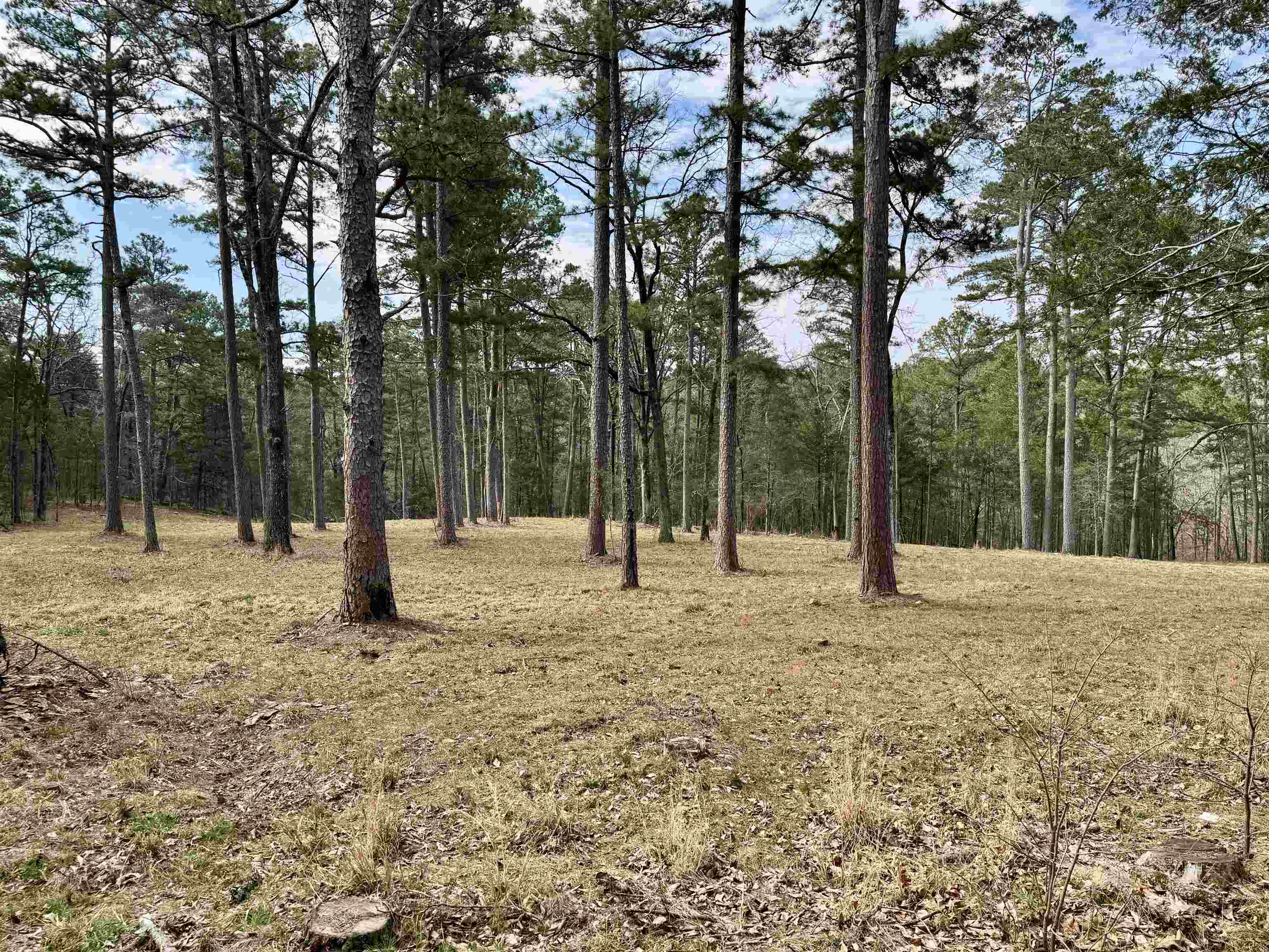 Photo 8 - Residential for sale – 54  Split Rock Road   Melbourne, AR