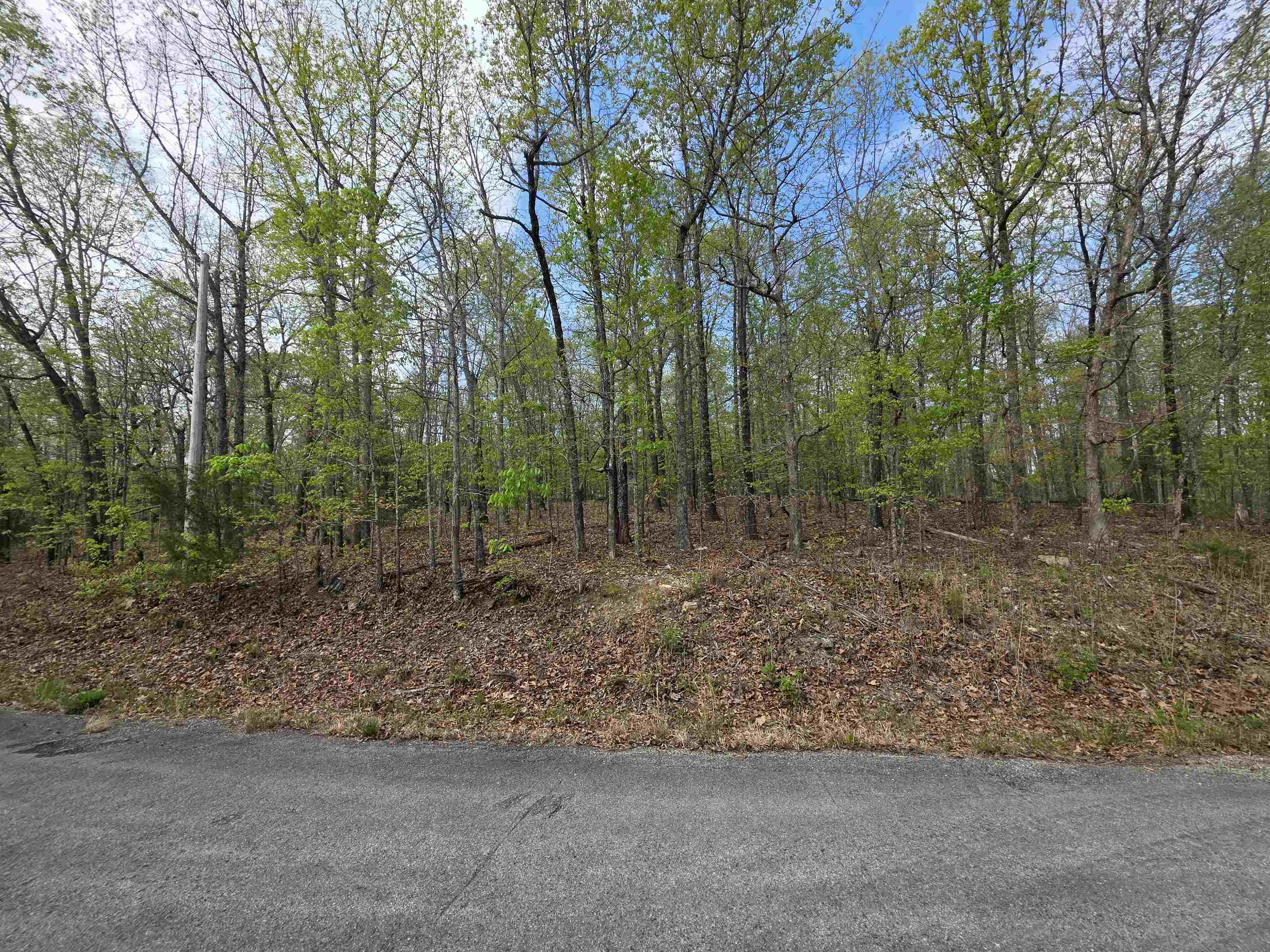 Photo 2 - Vacant Land for sale – L-16 B-8  Talahi   Cherokee Village, AR