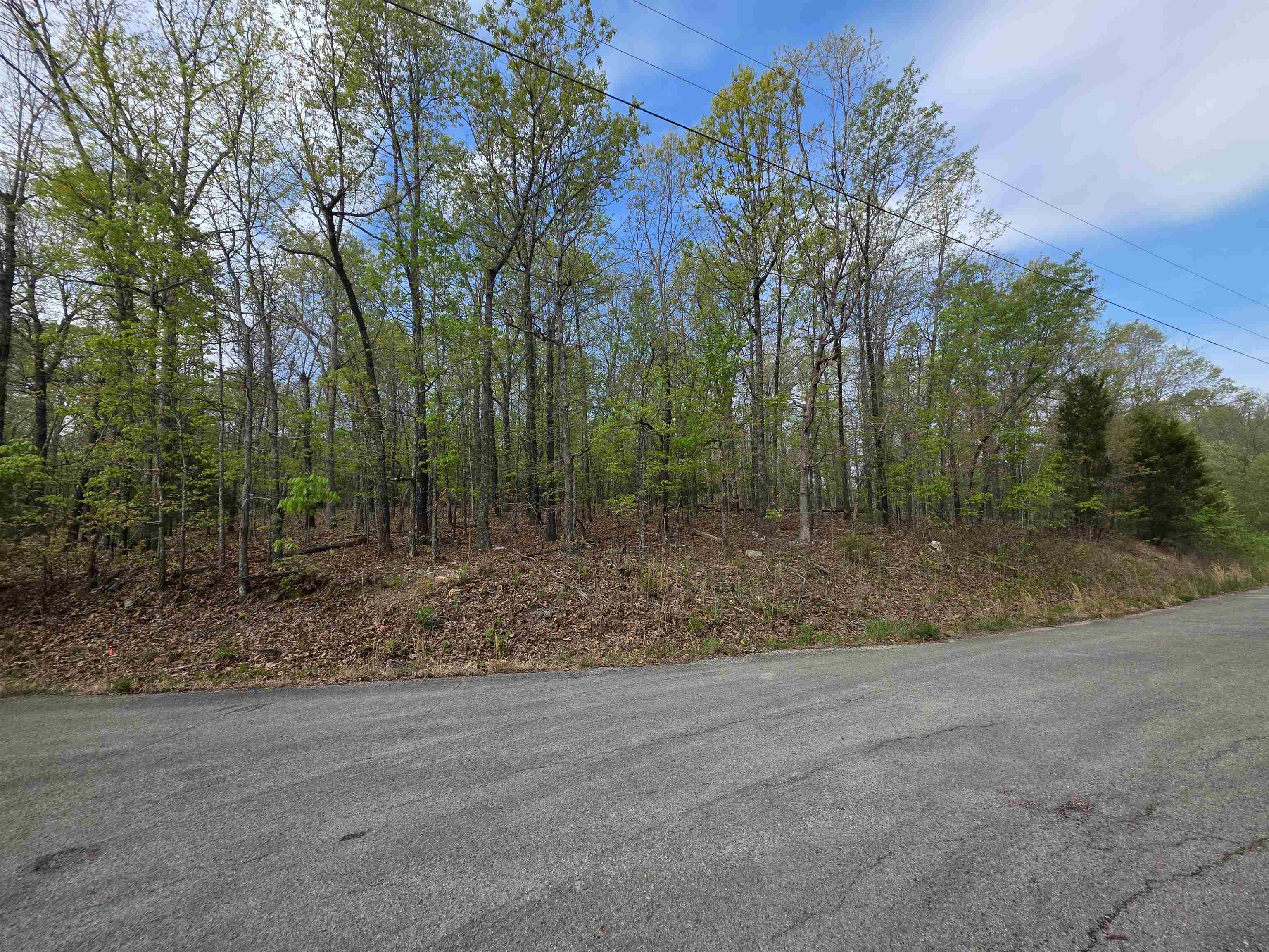 Photo 12 - Vacant Land for sale – L-16 B-8  Talahi   Cherokee Village, AR