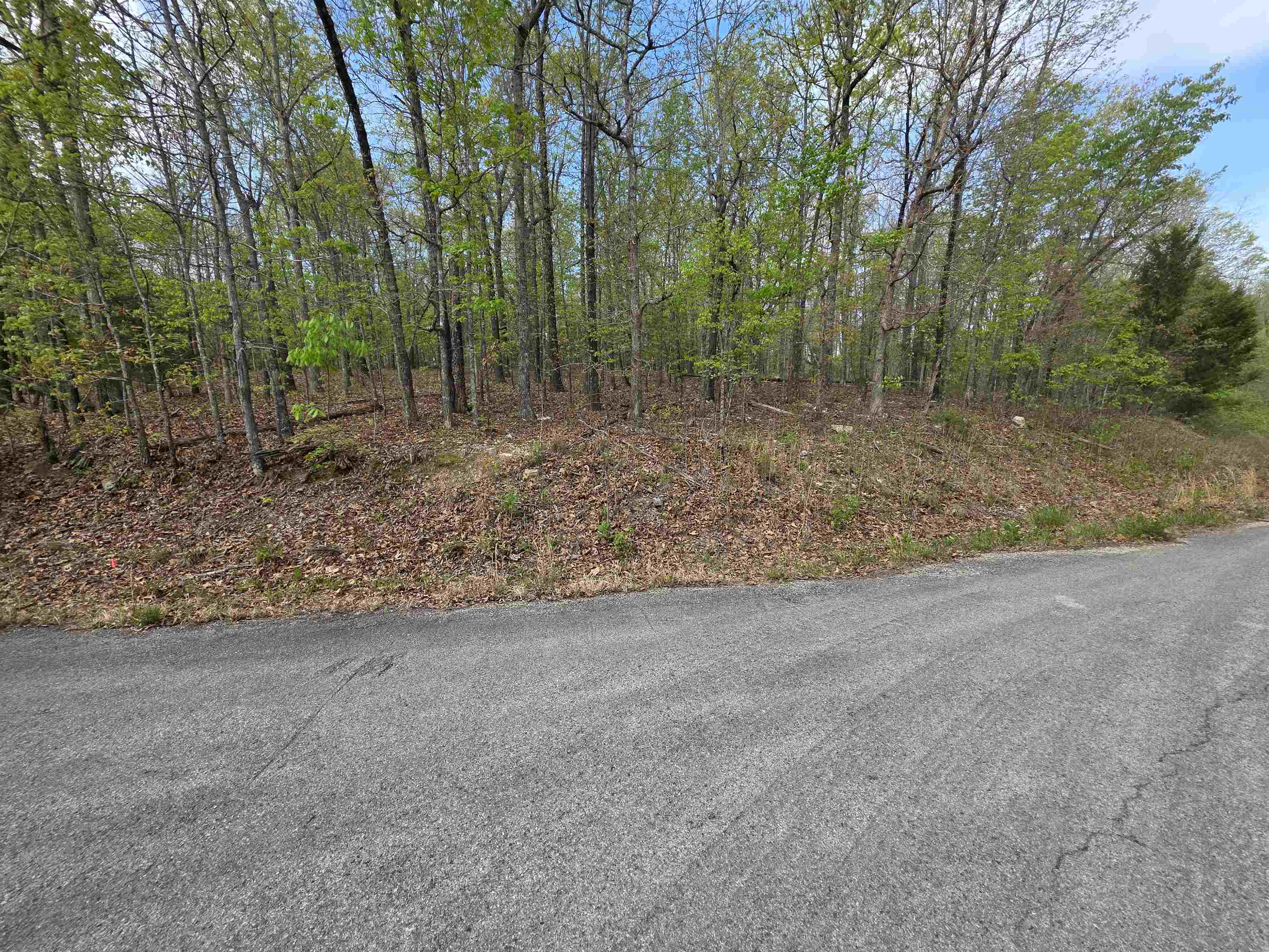 Photo 3 - Vacant Land for sale – L-16 B-8  Talahi   Cherokee Village, AR