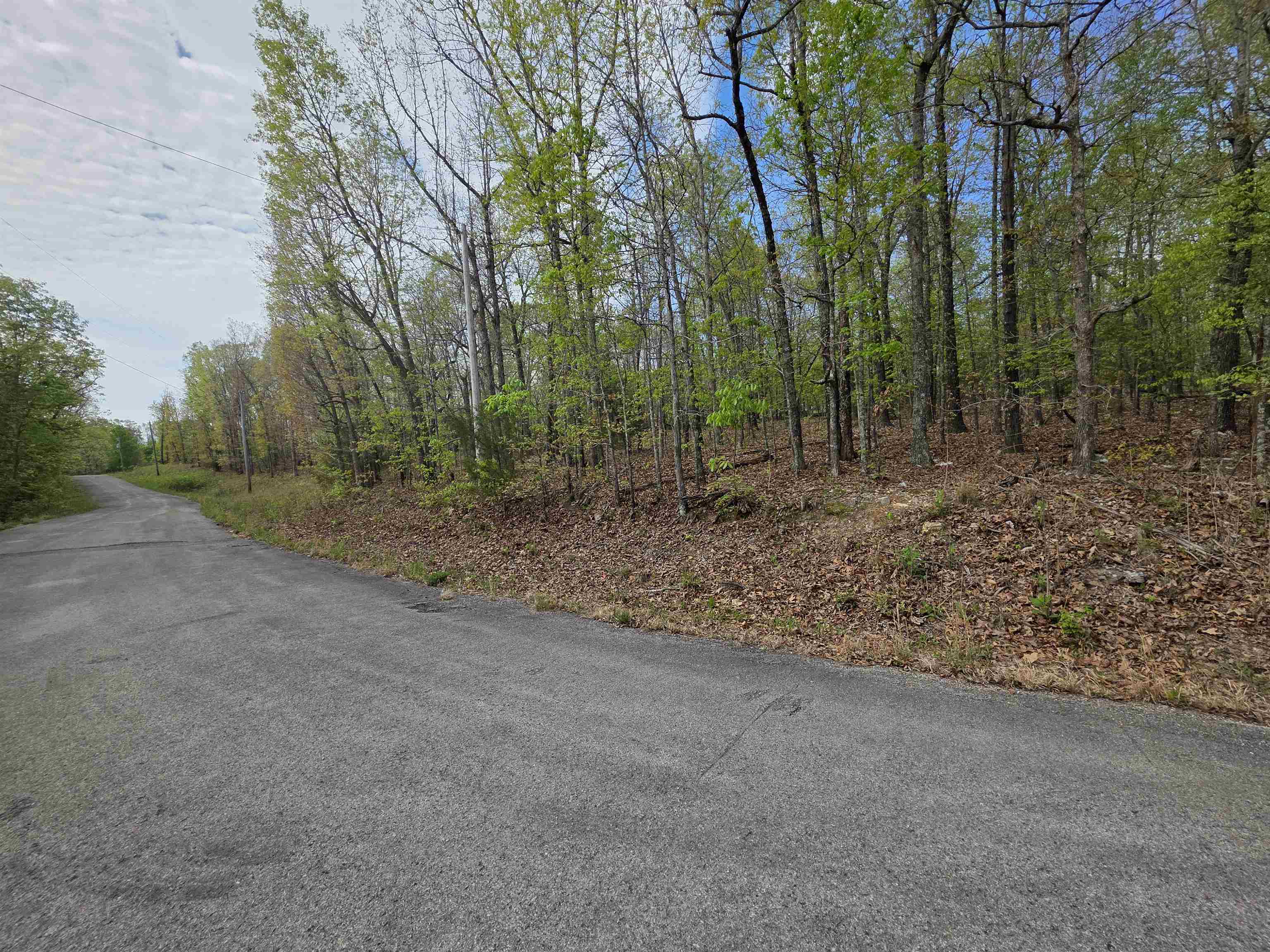 Photo 4 - Vacant Land for sale – L-16 B-8  Talahi   Cherokee Village, AR