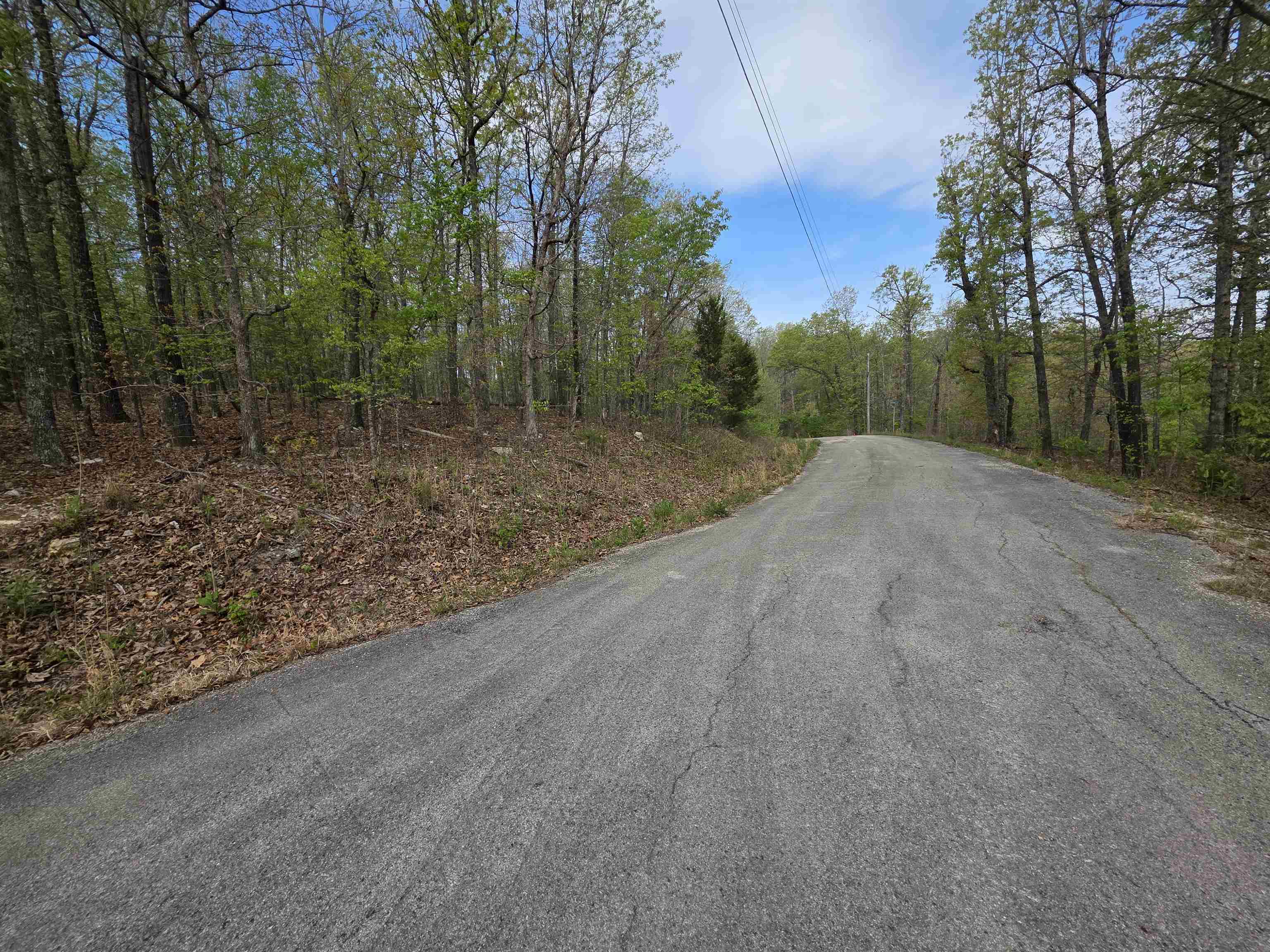 Photo 5 - Vacant Land for sale – L-16 B-8  Talahi   Cherokee Village, AR