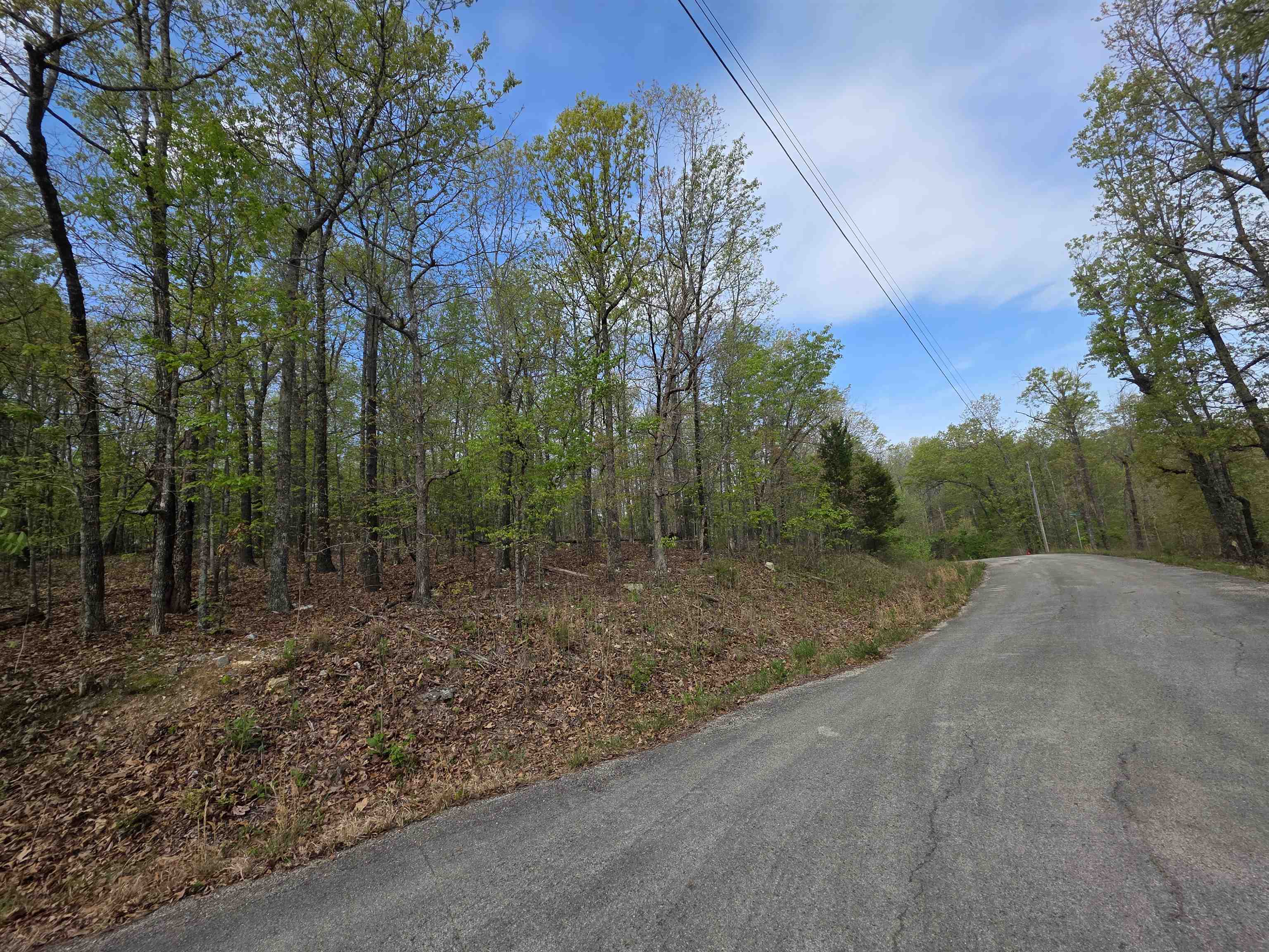 Photo 6 - Vacant Land for sale – L-16 B-8  Talahi   Cherokee Village, AR