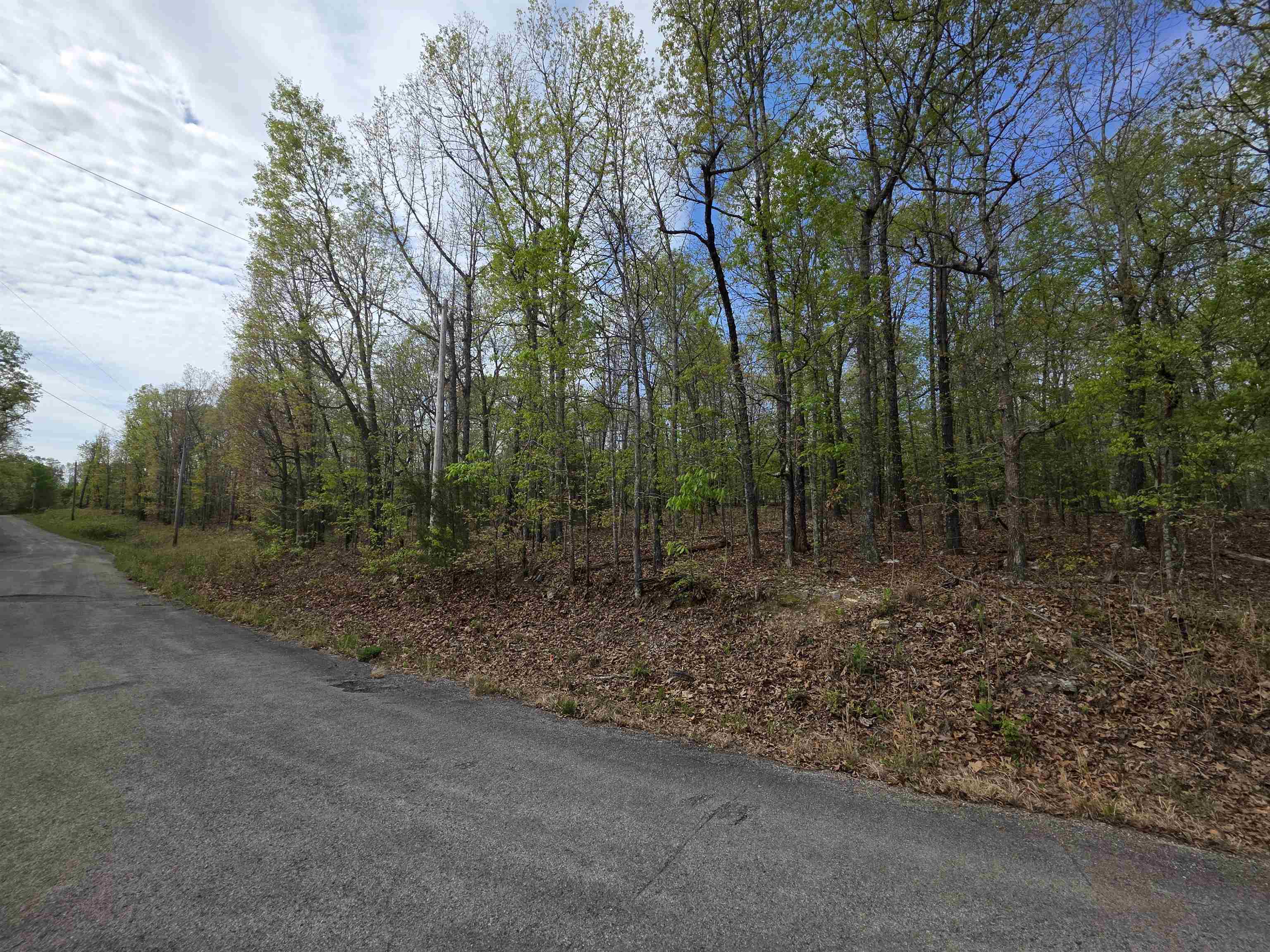 Photo 7 - Vacant Land for sale – L-16 B-8  Talahi   Cherokee Village, AR