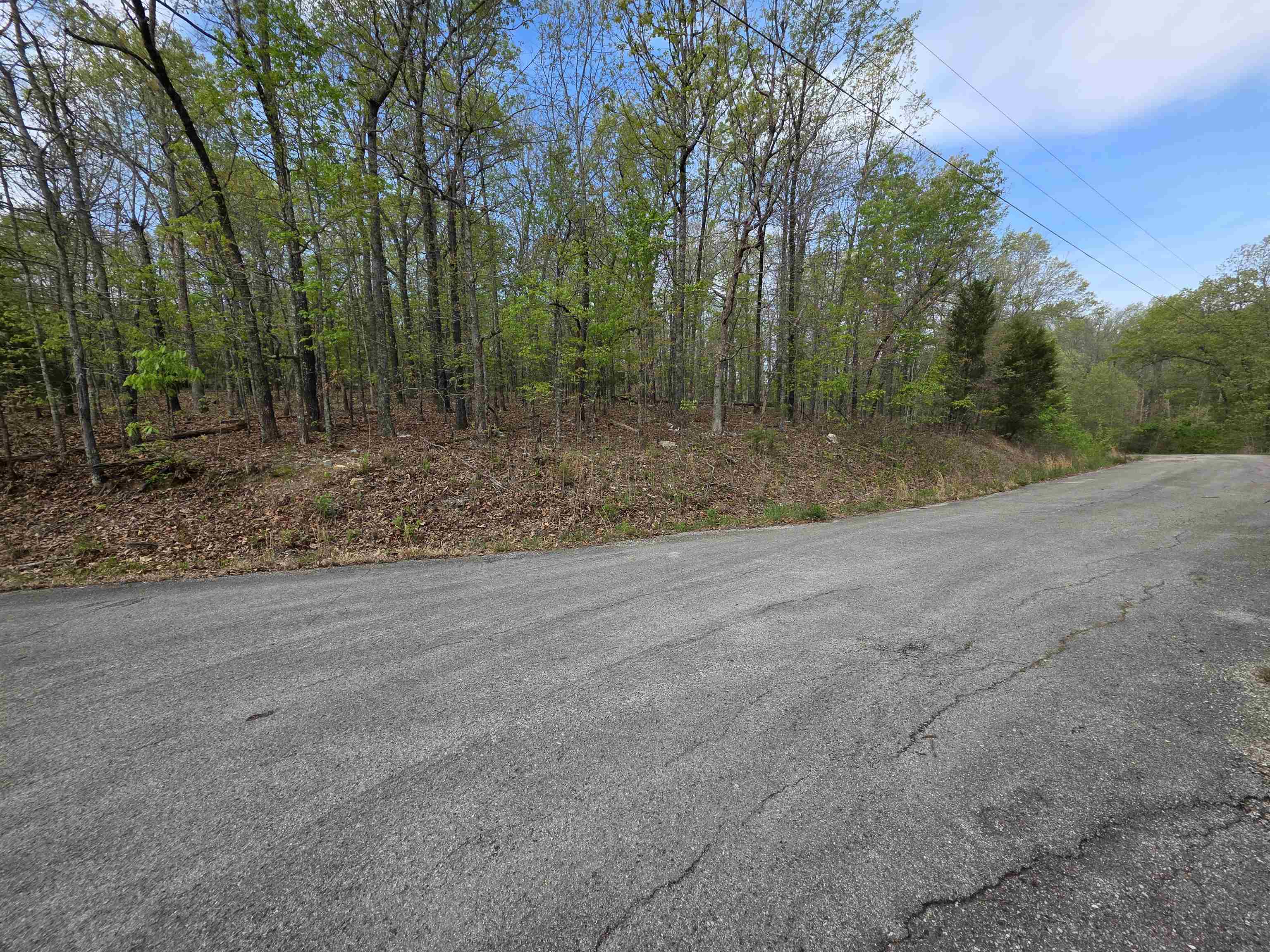 Photo 8 - Vacant Land for sale – L-16 B-8  Talahi   Cherokee Village, AR