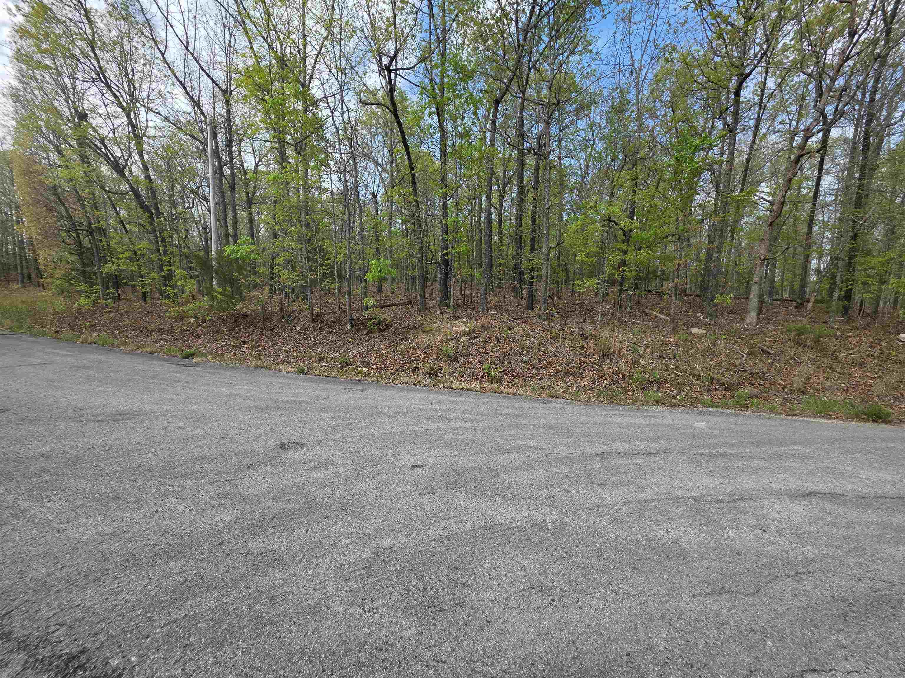 Photo 9 - Vacant Land for sale – L-16 B-8  Talahi   Cherokee Village, AR