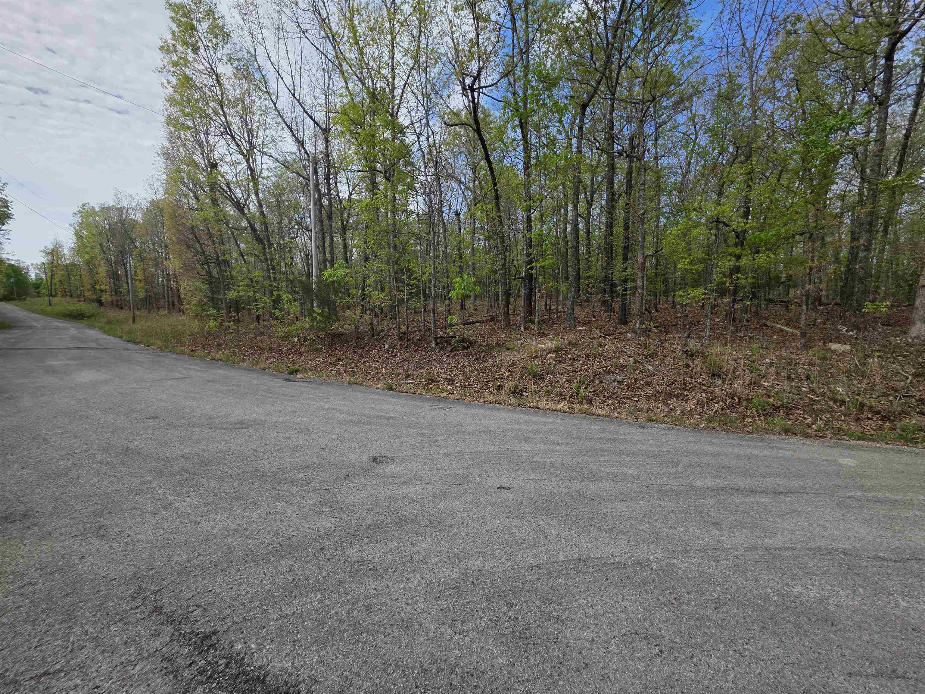 Photo 10 - Vacant Land for sale – L-16 B-8  Talahi   Cherokee Village, AR