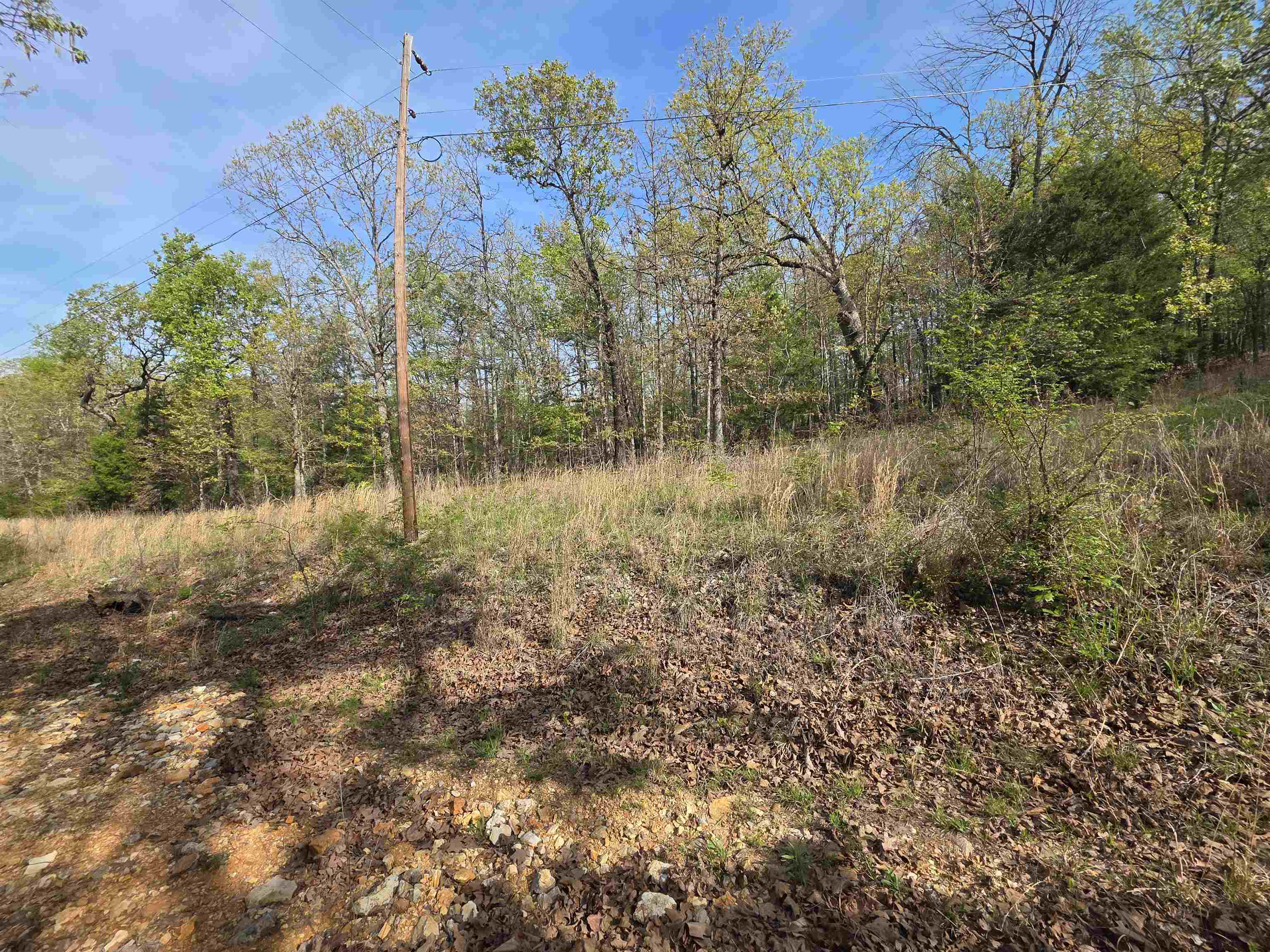 Vacant Land for sale – L-10 B-2  Rocky Top   Ozark Acres, AR