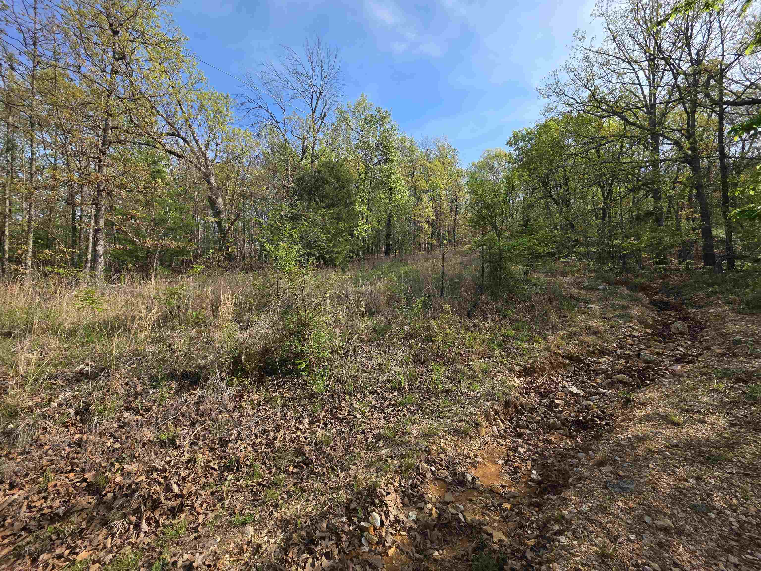 Photo 2 - Vacant Land for sale – L-10 B-2  Rocky Top   Ozark Acres, AR