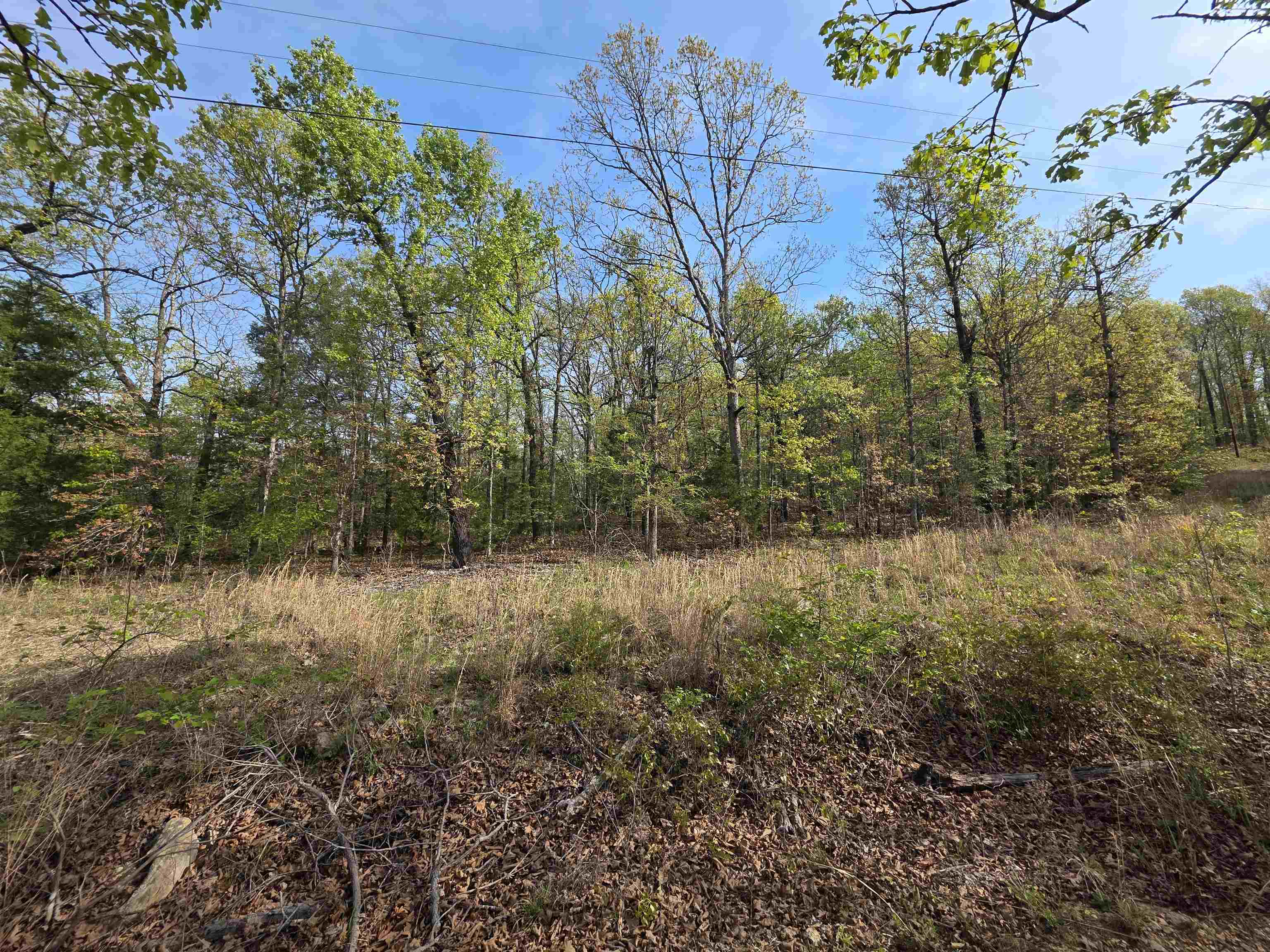 Photo 11 - Vacant Land for sale – L-10 B-2  Rocky Top   Ozark Acres, AR