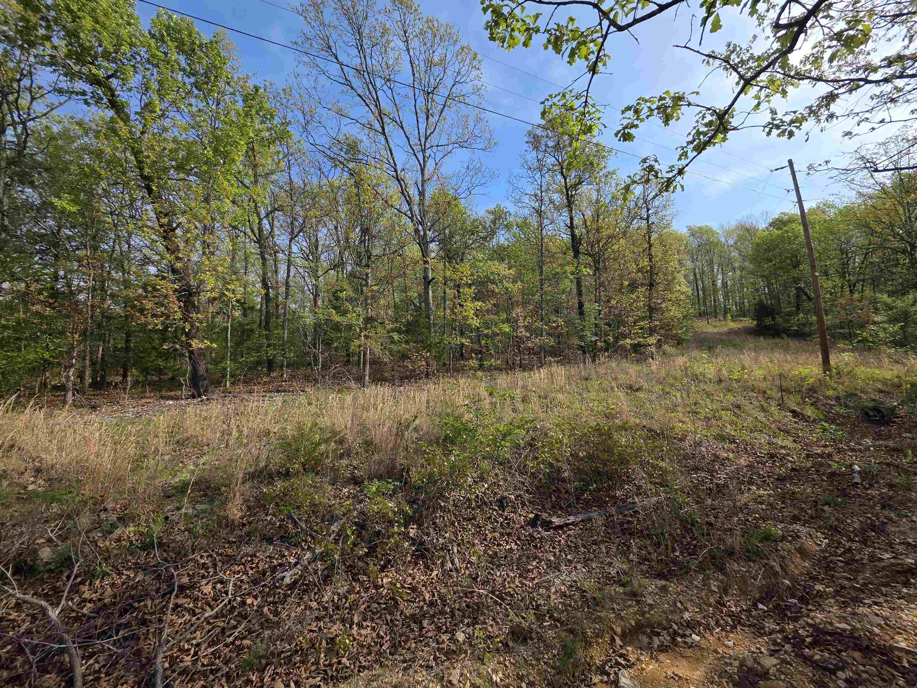 Photo 12 - Vacant Land for sale – L-10 B-2  Rocky Top   Ozark Acres, AR