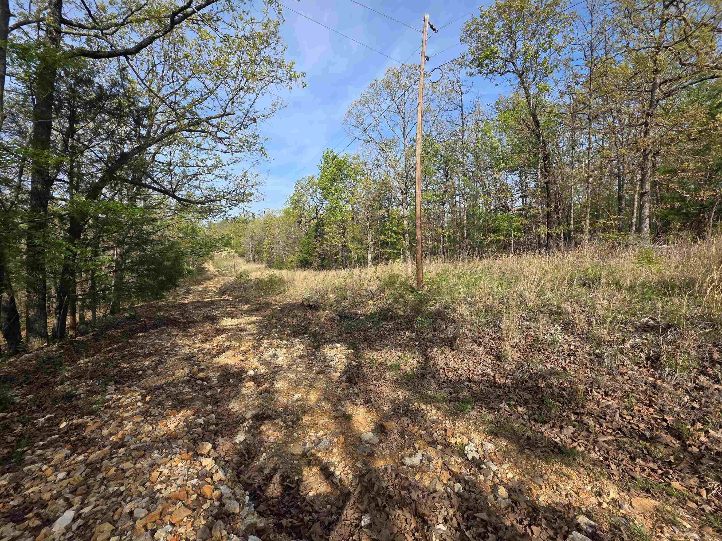 Photo 3 - Vacant Land for sale – L-10 B-2  Rocky Top   Ozark Acres, AR