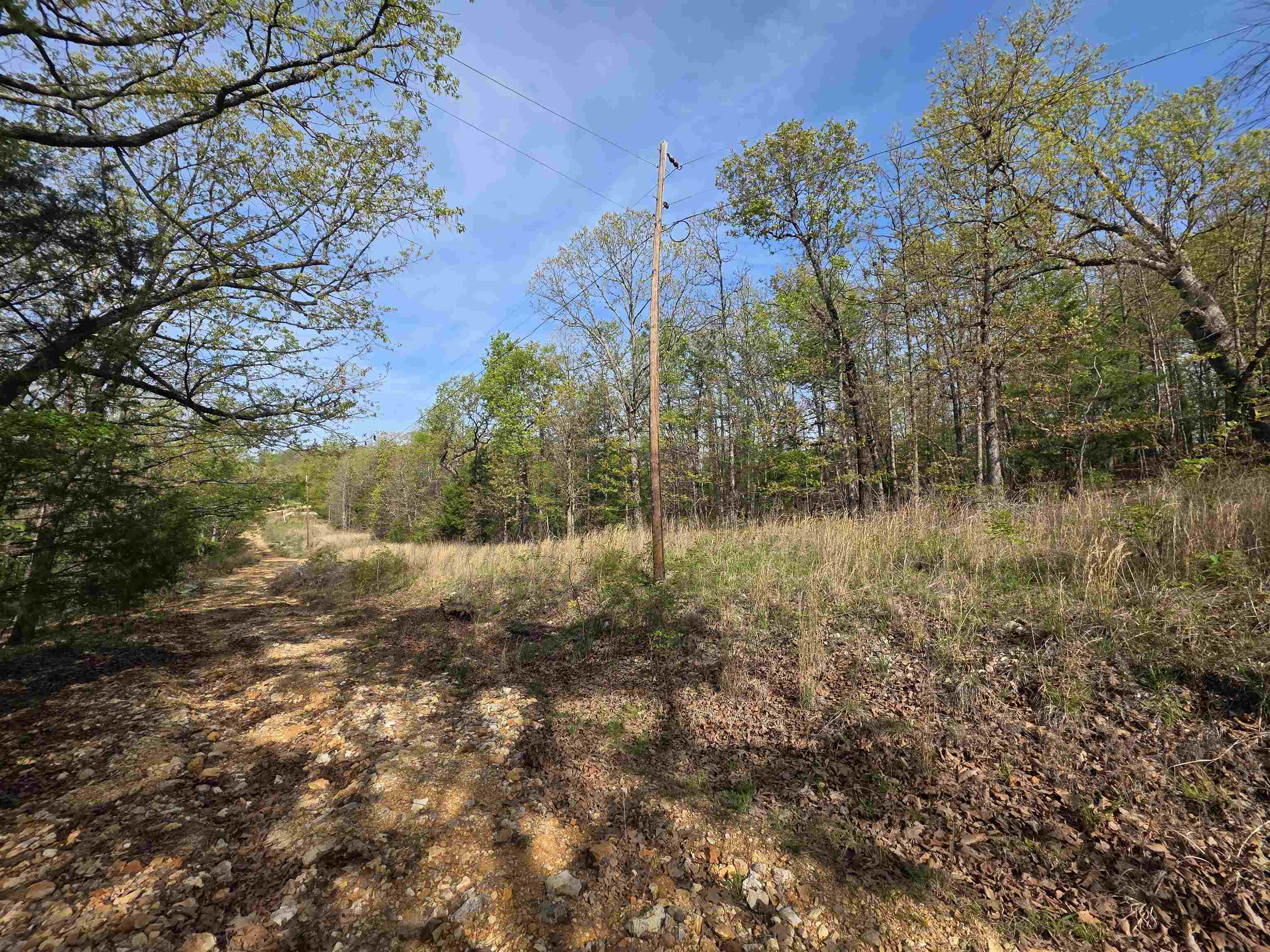 Photo 4 - Vacant Land for sale – L-10 B-2  Rocky Top   Ozark Acres, AR