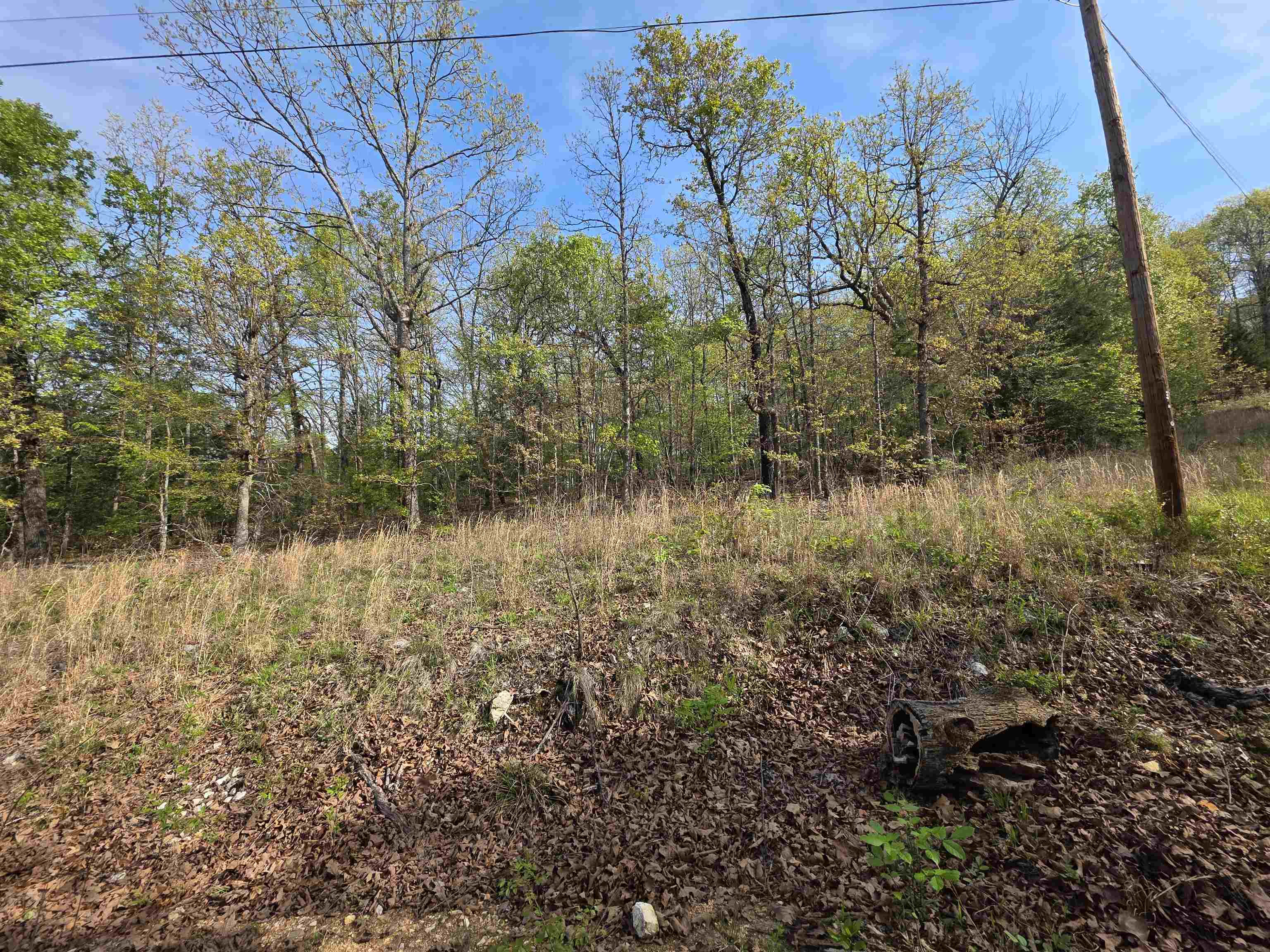 Photo 6 - Vacant Land for sale – L-10 B-2  Rocky Top   Ozark Acres, AR
