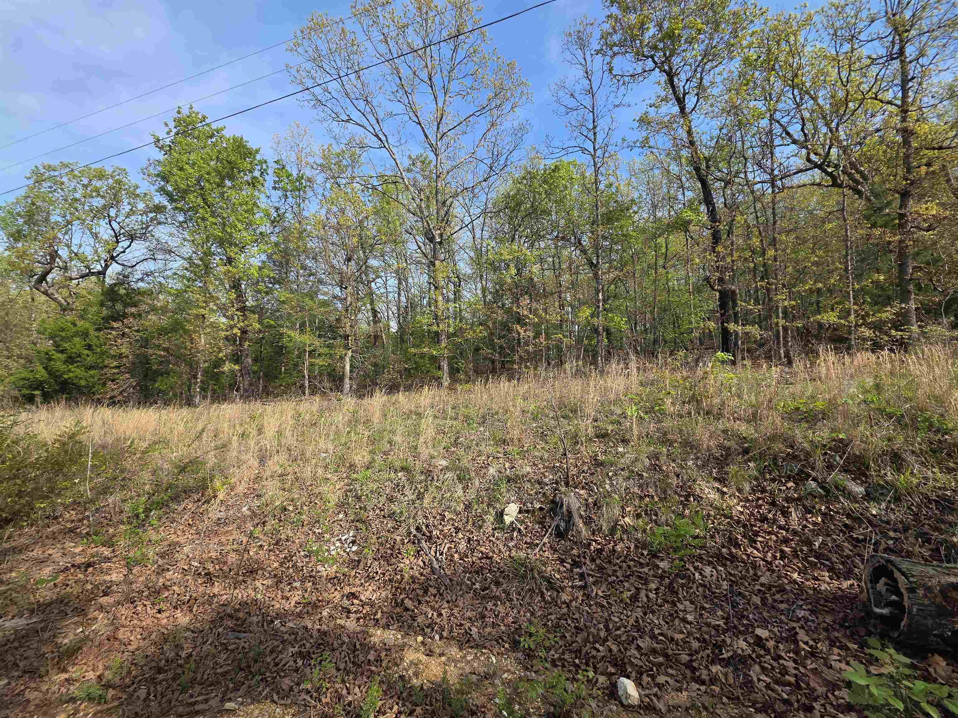 Photo 7 - Vacant Land for sale – L-10 B-2  Rocky Top   Ozark Acres, AR