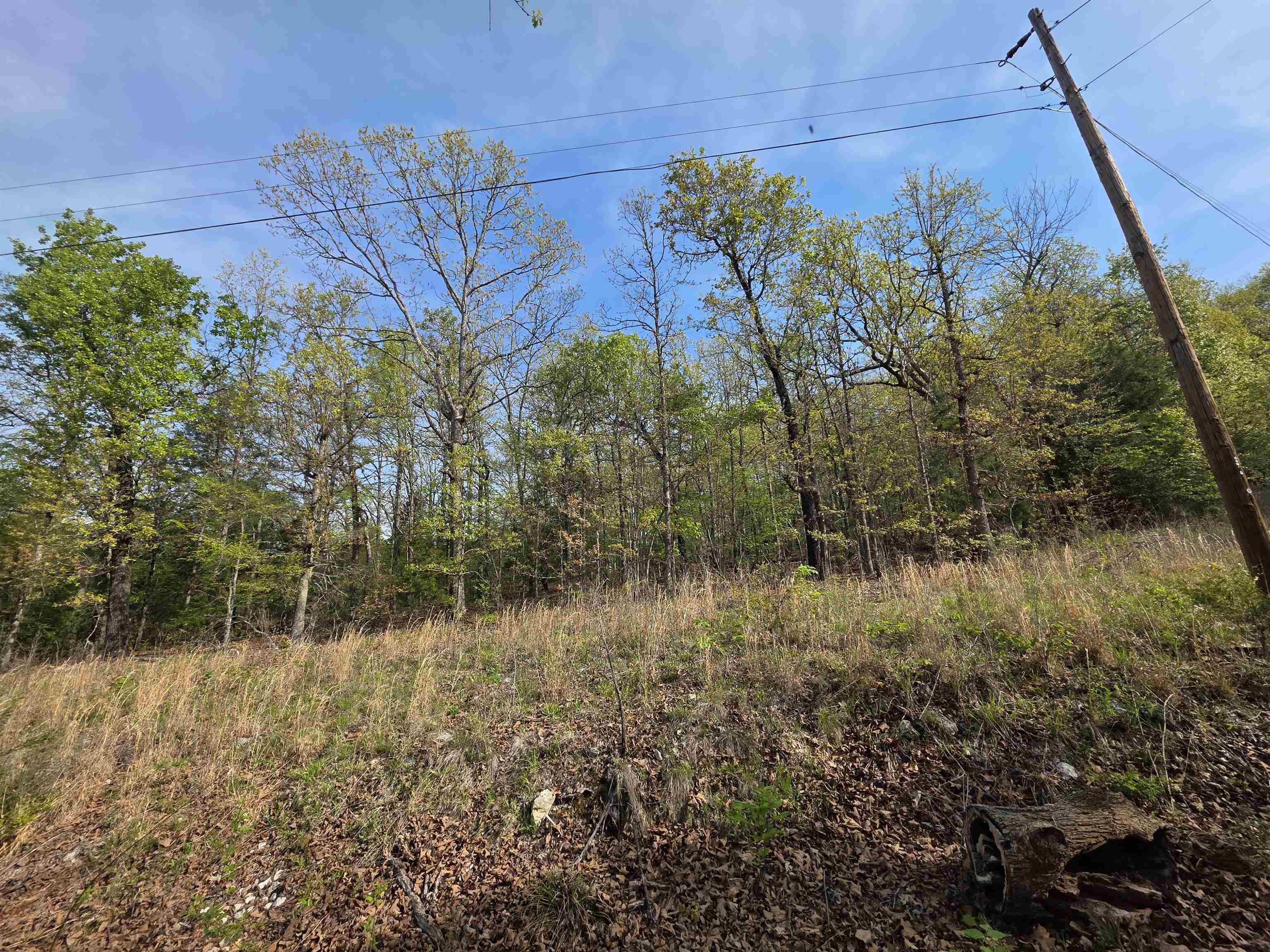 Photo 8 - Vacant Land for sale – L-10 B-2  Rocky Top   Ozark Acres, AR