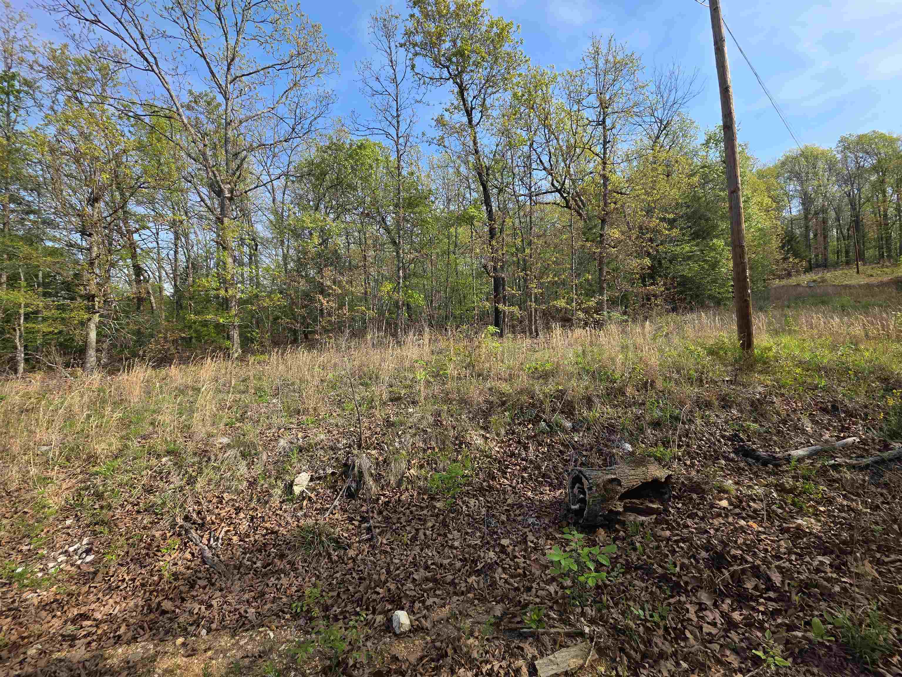 Photo 9 - Vacant Land for sale – L-10 B-2  Rocky Top   Ozark Acres, AR