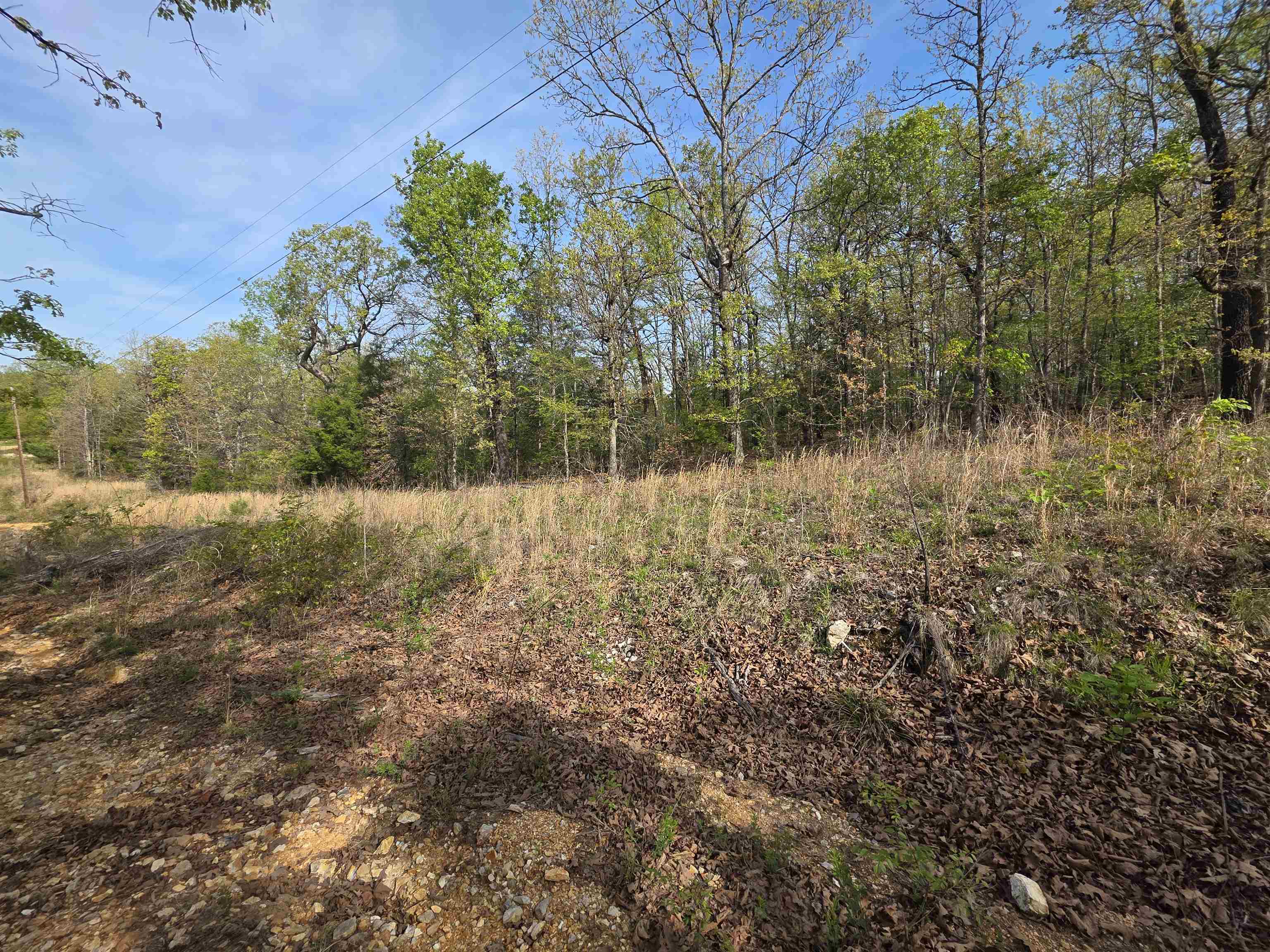 Photo 10 - Vacant Land for sale – L-10 B-2  Rocky Top   Ozark Acres, AR