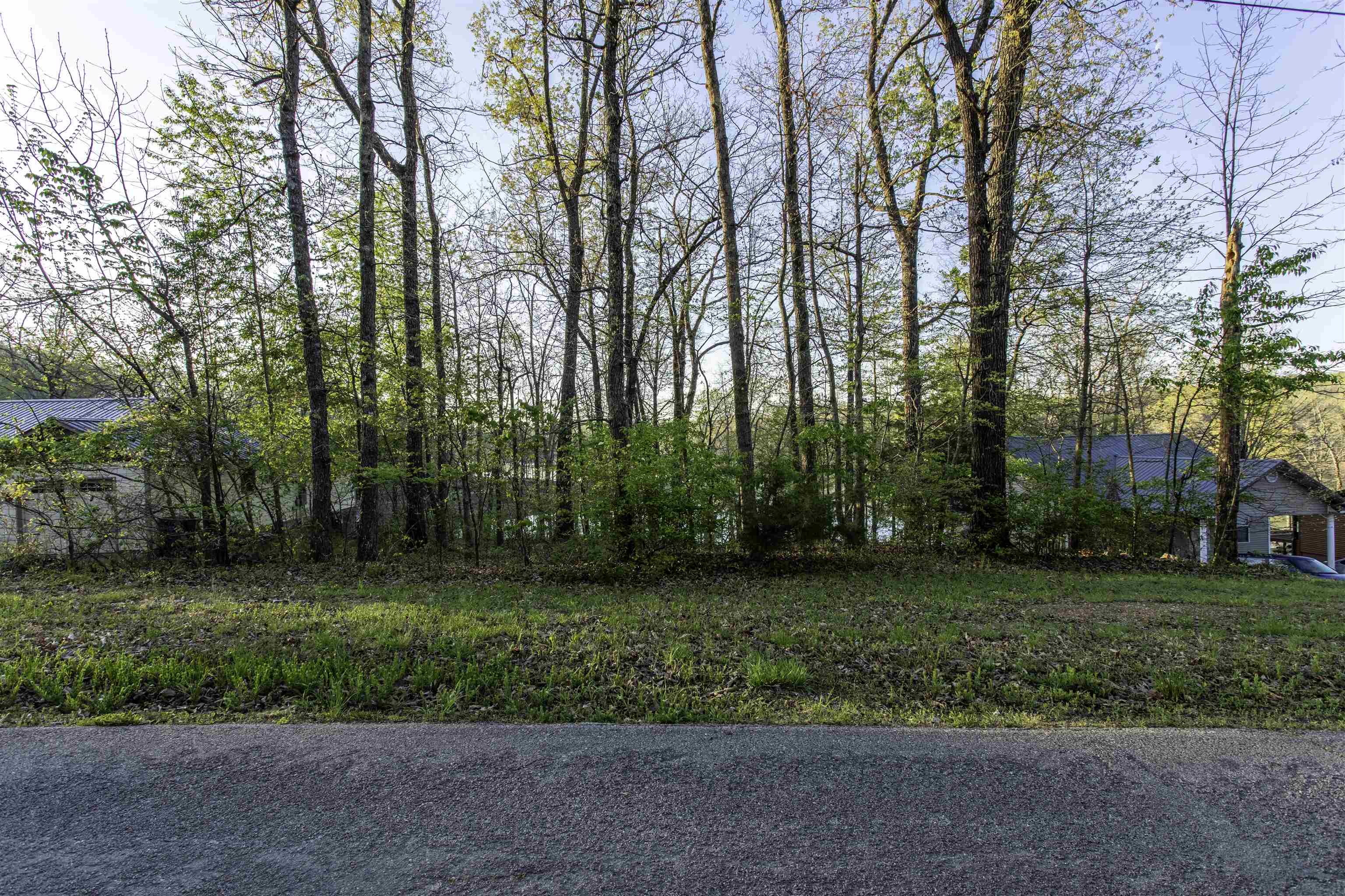 Vacant Land for sale – 000  Lakeside   Williford, AR