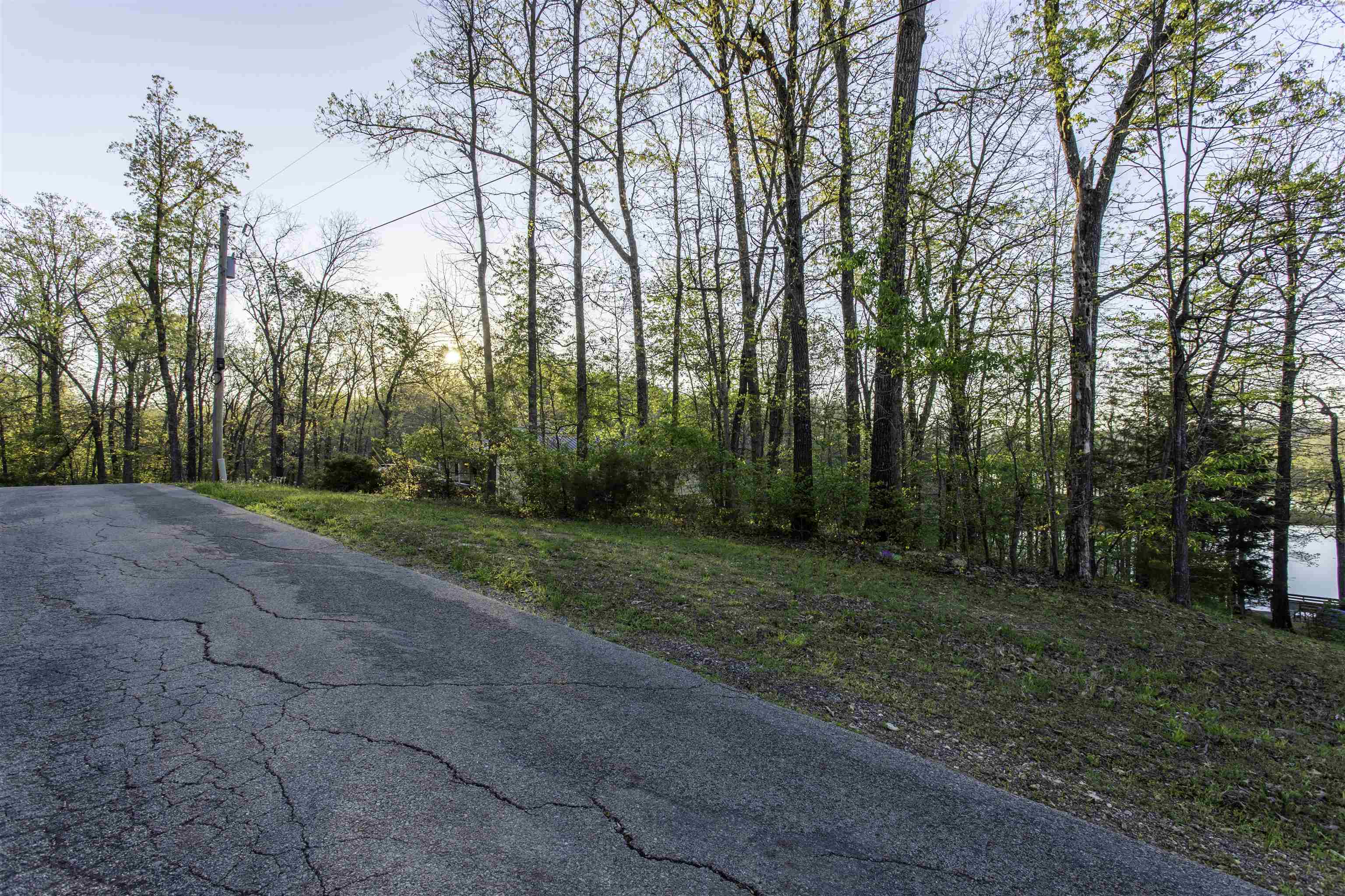 Photo 3 - Vacant Land for sale – 000  Lakeside   Williford, AR
