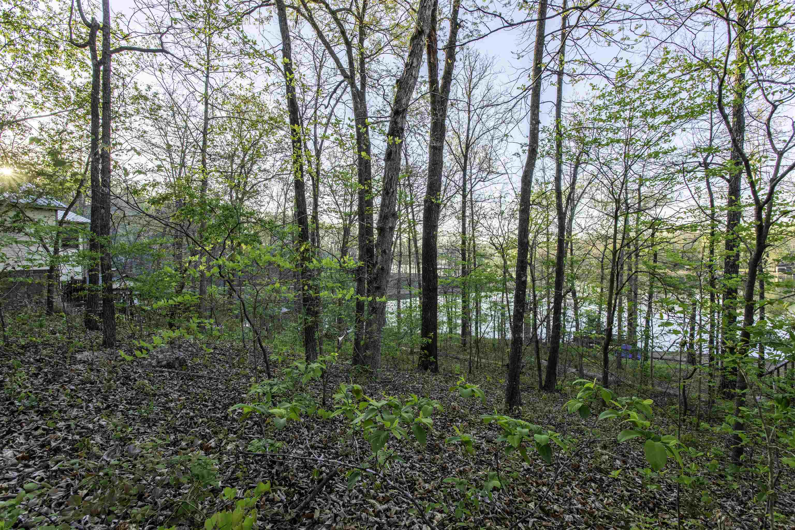 Photo 4 - Vacant Land for sale – 000  Lakeside   Williford, AR