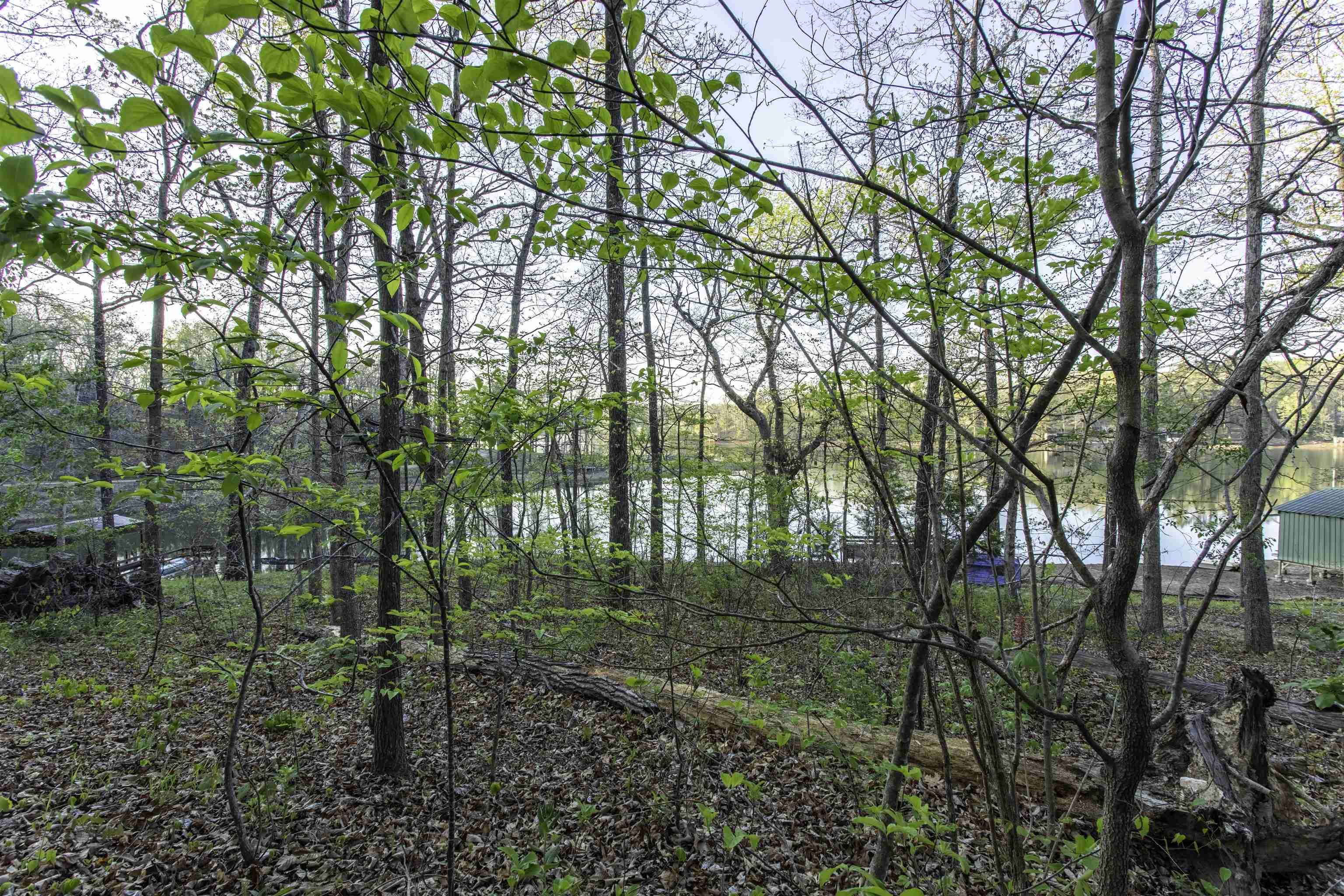 Photo 5 - Vacant Land for sale – 000  Lakeside   Williford, AR