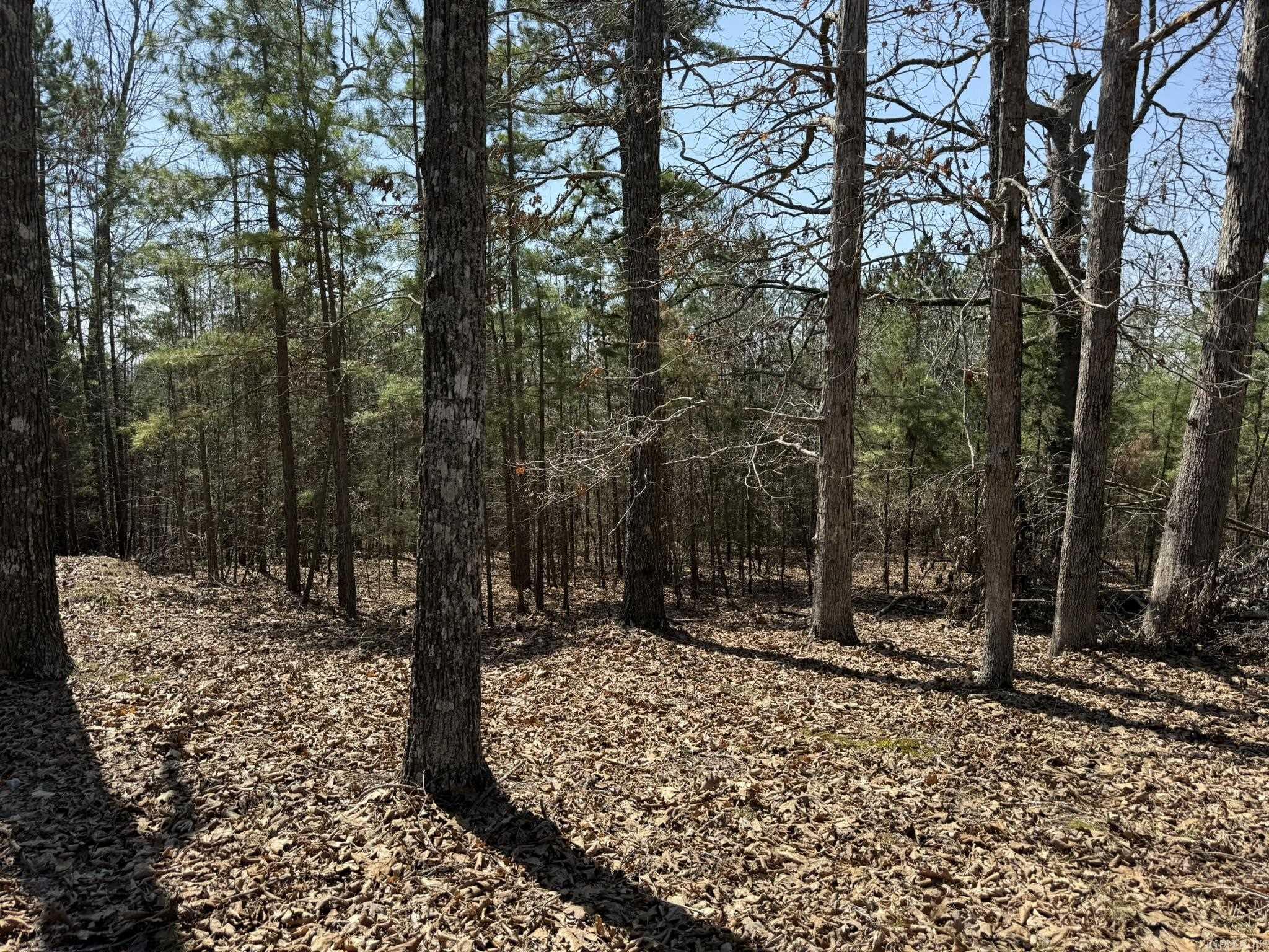 Photo 11 - Vacant Land for sale – 000  Foxcroft   Elizabeth, AR