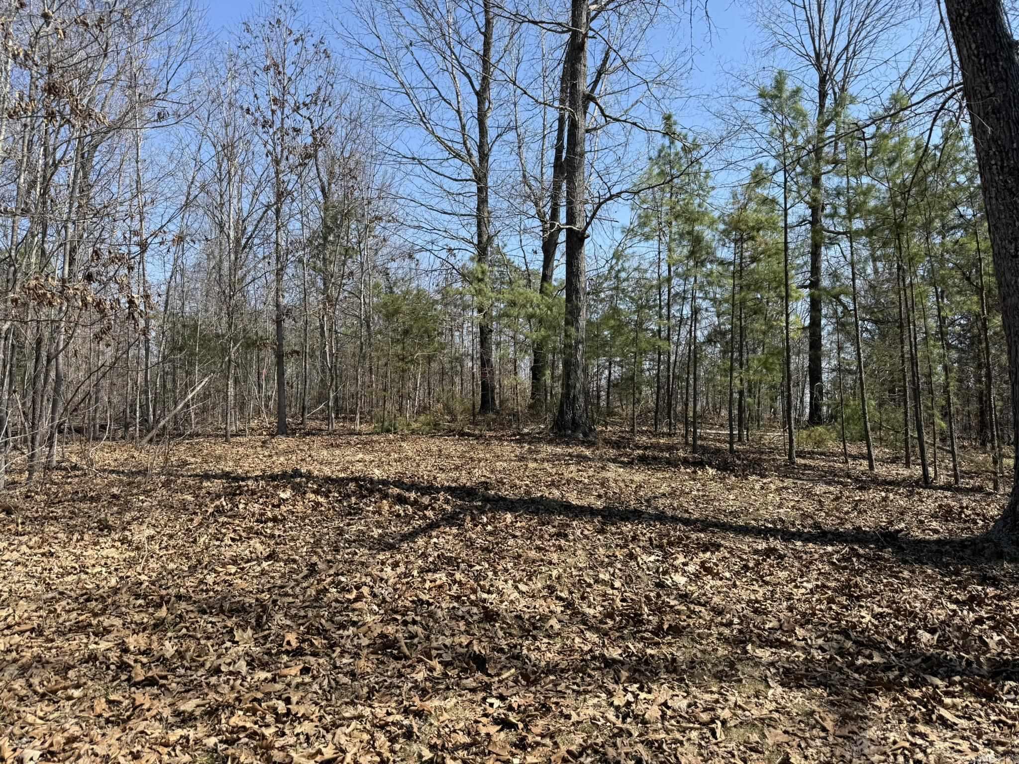 Photo 12 - Vacant Land for sale – 000  Foxcroft   Elizabeth, AR