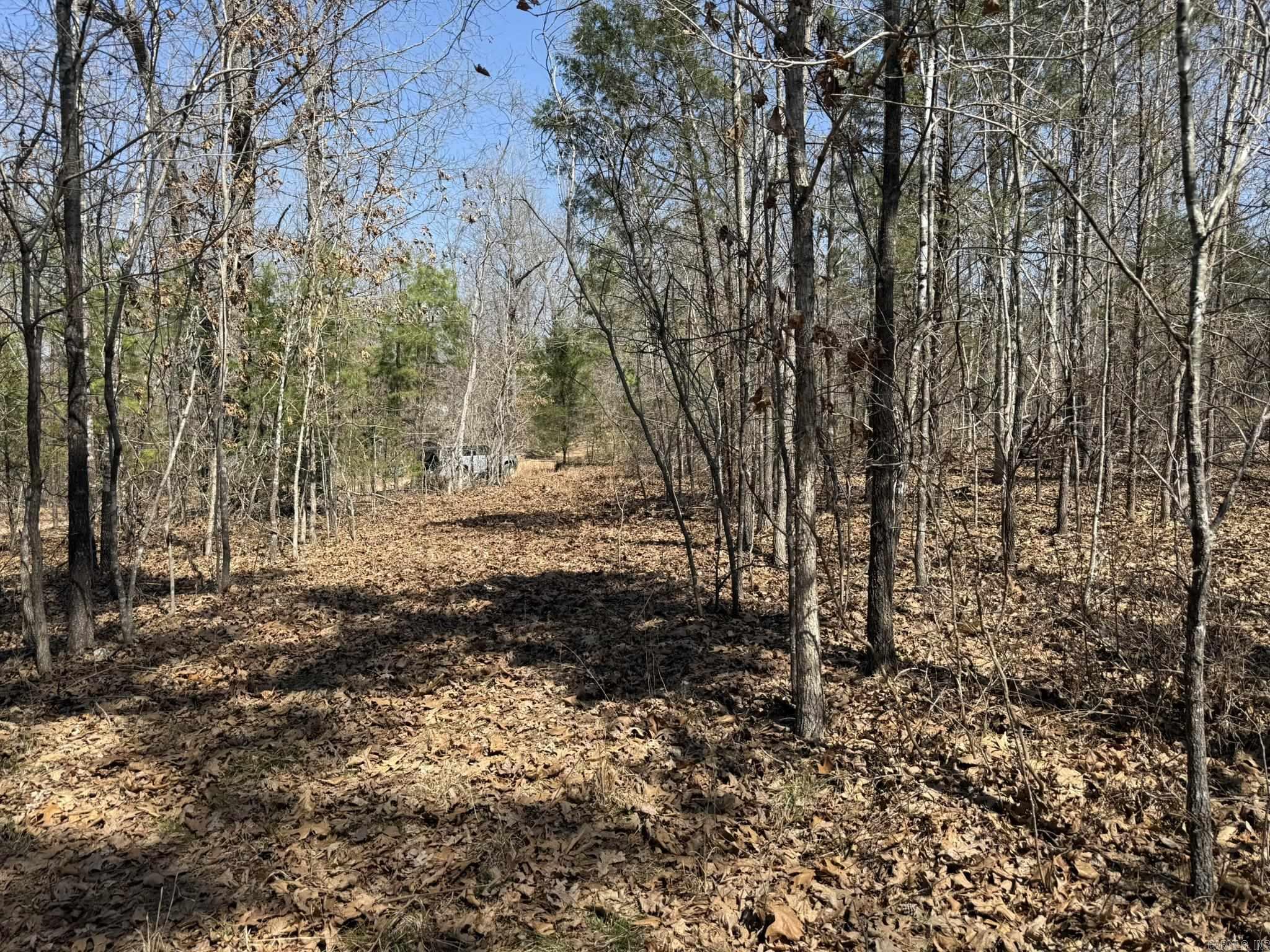 Photo 14 - Vacant Land for sale – 000  Foxcroft   Elizabeth, AR