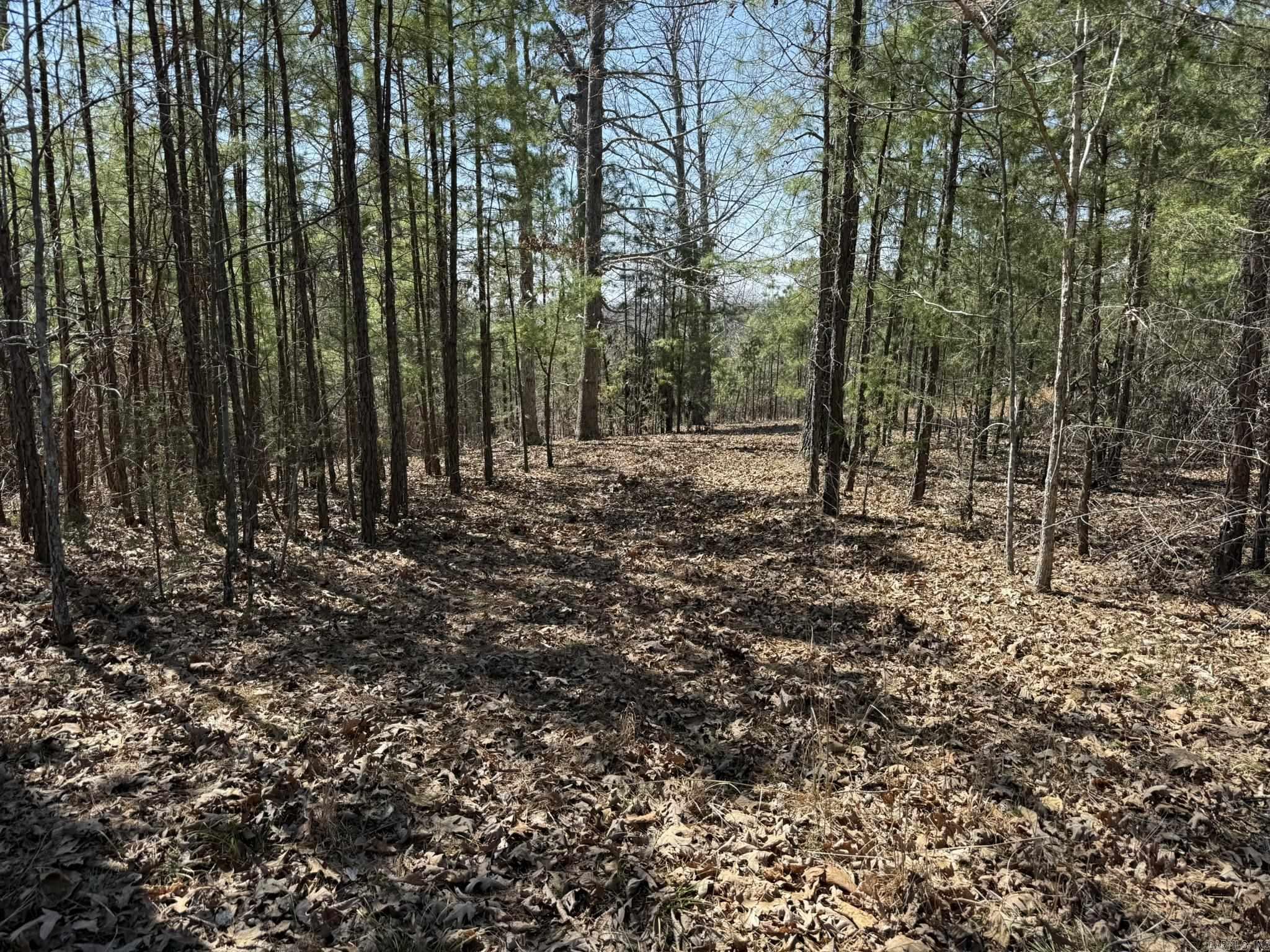 Photo 15 - Vacant Land for sale – 000  Foxcroft   Elizabeth, AR