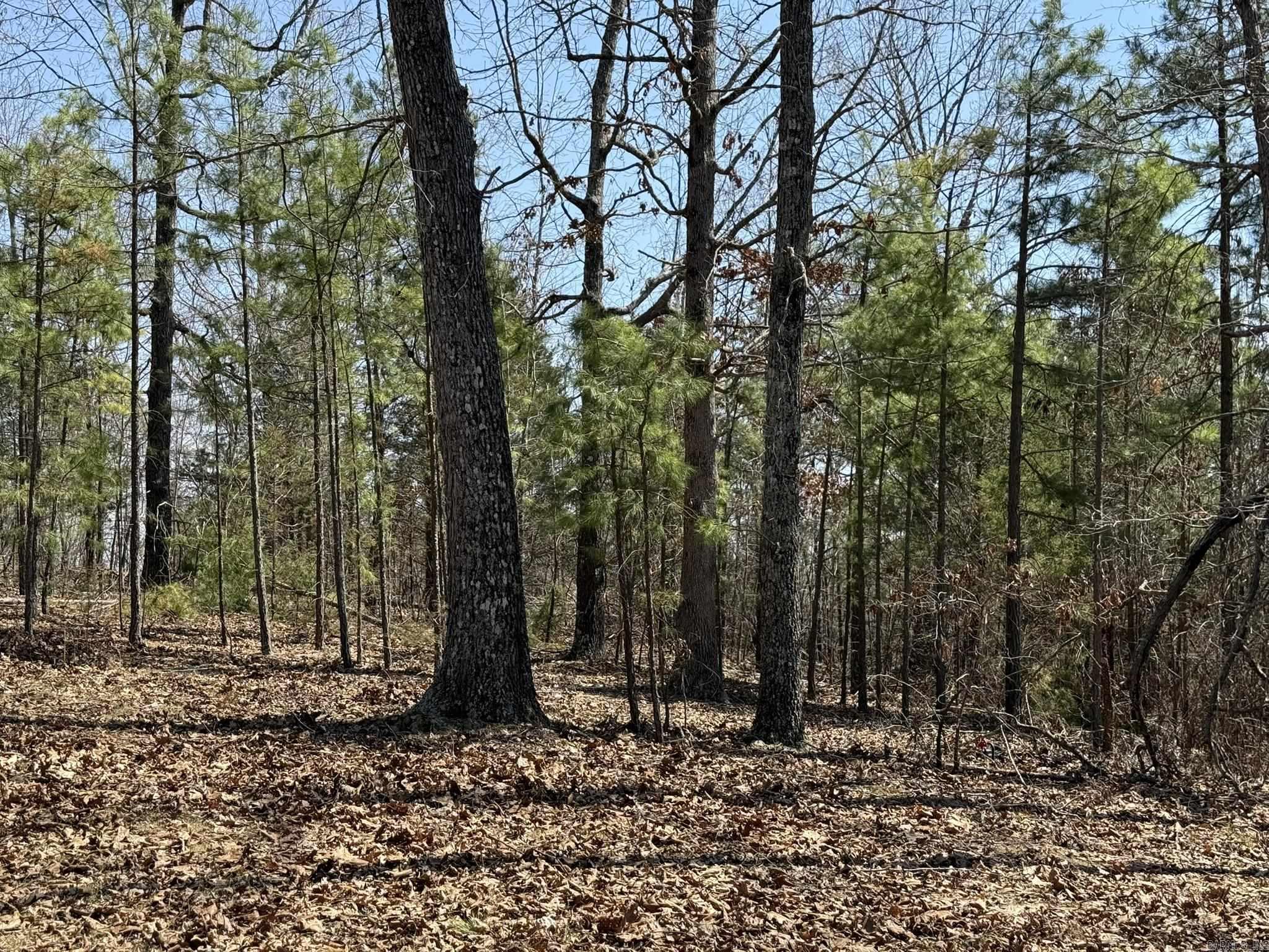 Photo 17 - Vacant Land for sale – 000  Foxcroft   Elizabeth, AR