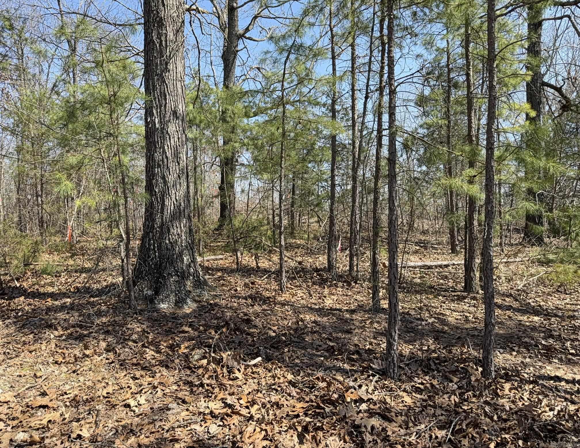 Photo 20 - Vacant Land for sale – 000  Foxcroft   Elizabeth, AR